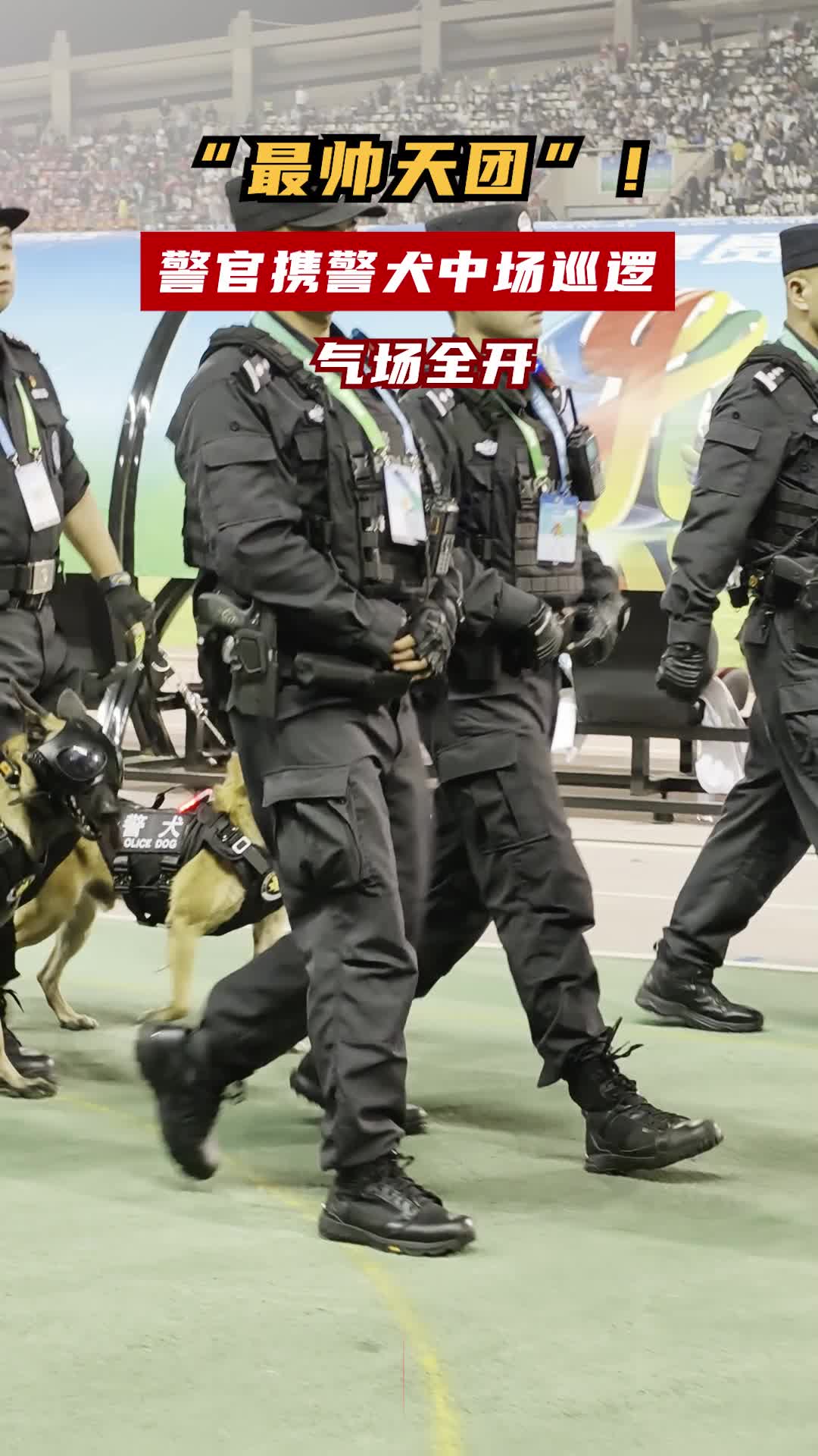 “最帅天团”！警官携警犬中场巡逻气场全开