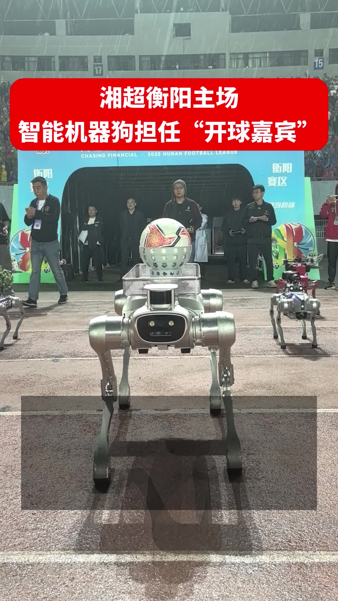湘超衡阳主场 智能机器狗担任“开球嘉宾”