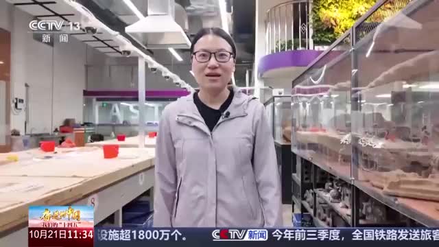 职校不是退路,而是另一条赛道!90后女生高职毕业任教清华