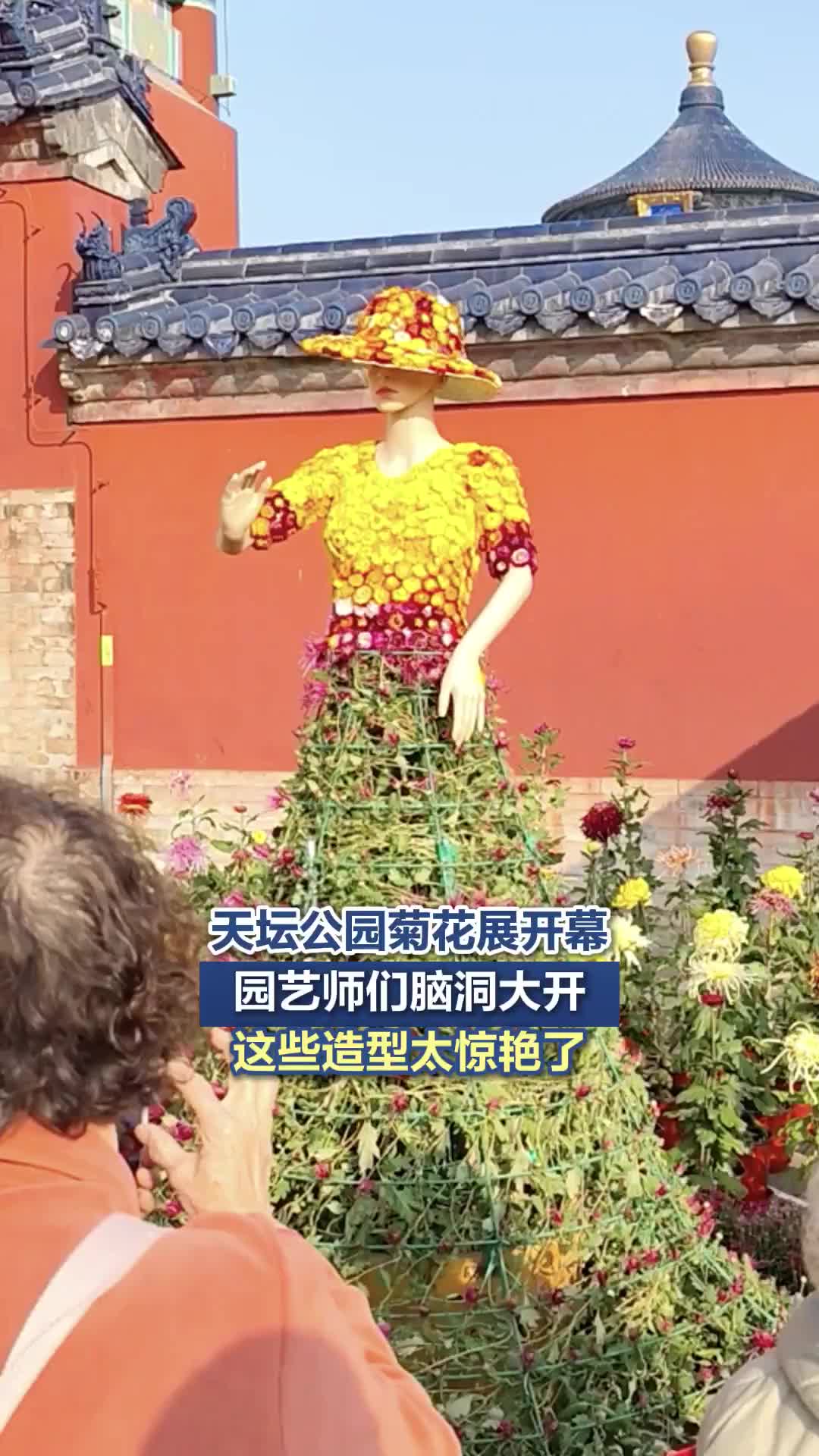 天坛公园菊花展开幕，园艺师们脑洞大开