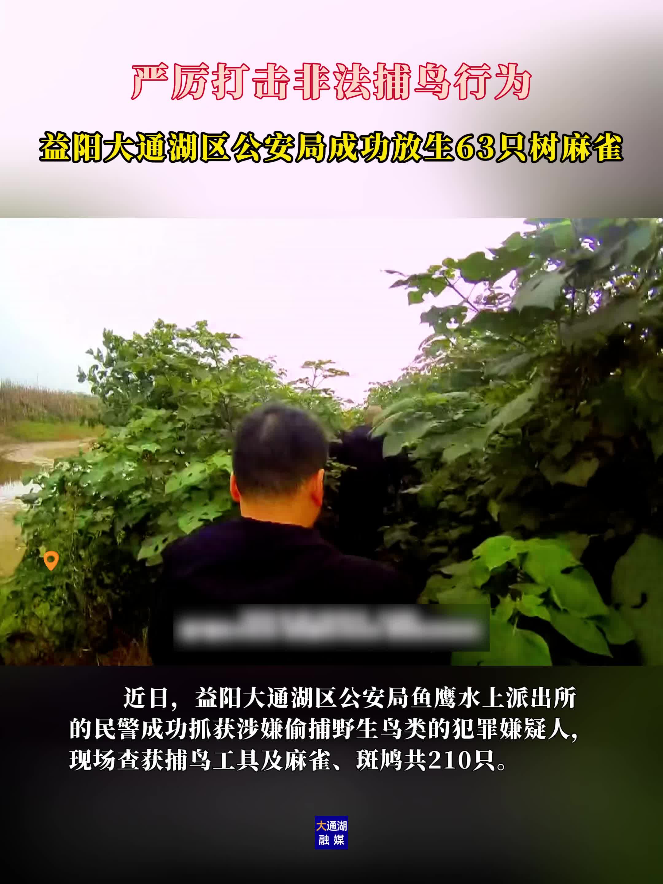 田间布网捕鸟？大通湖公安连藏有野生鸟类的冰柜一起“端”！