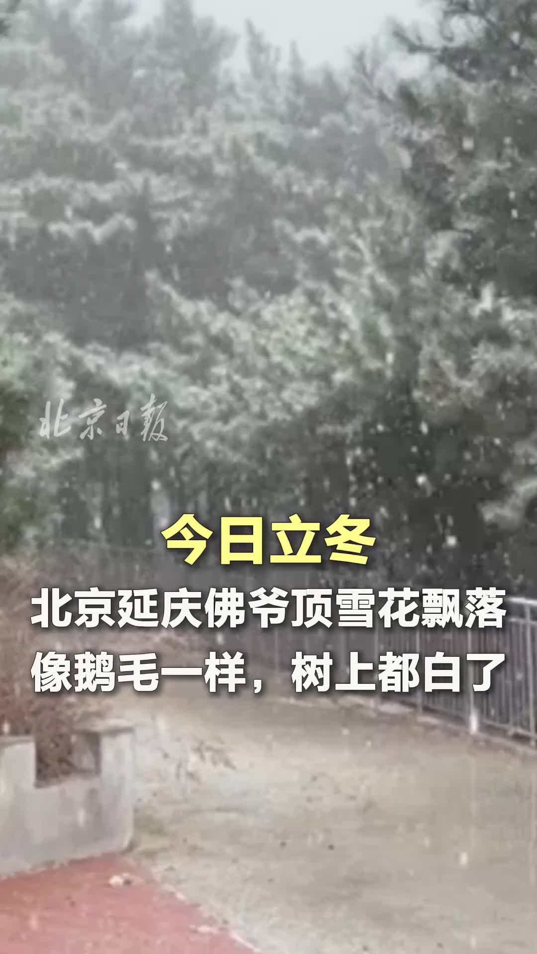 今日立冬，北京延庆佛爷顶雪花飘落