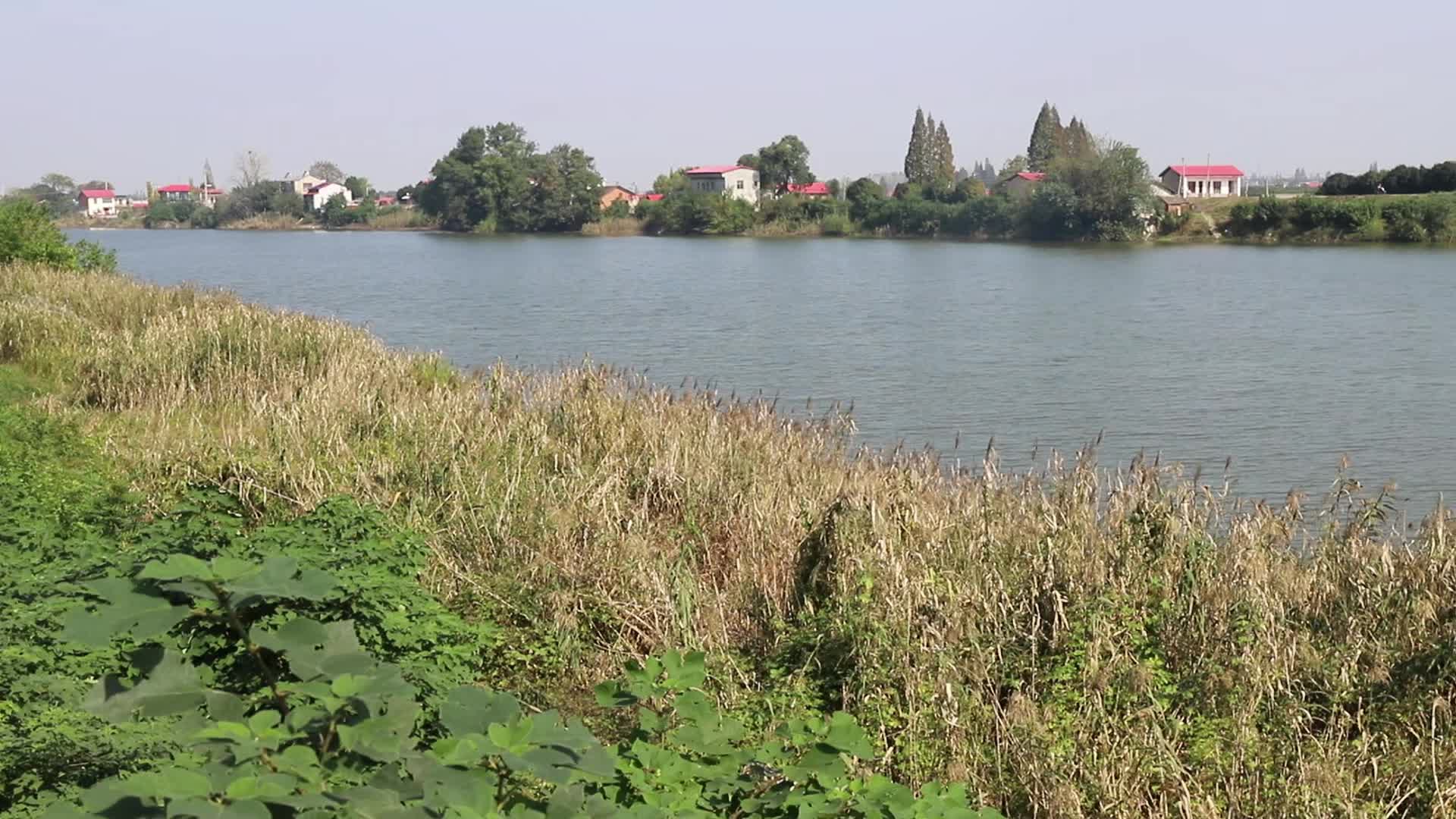 “冷得发抖，但值得！”老人轻生，河坝派出所民警浸泡冷水中10多分钟劝解、救援……