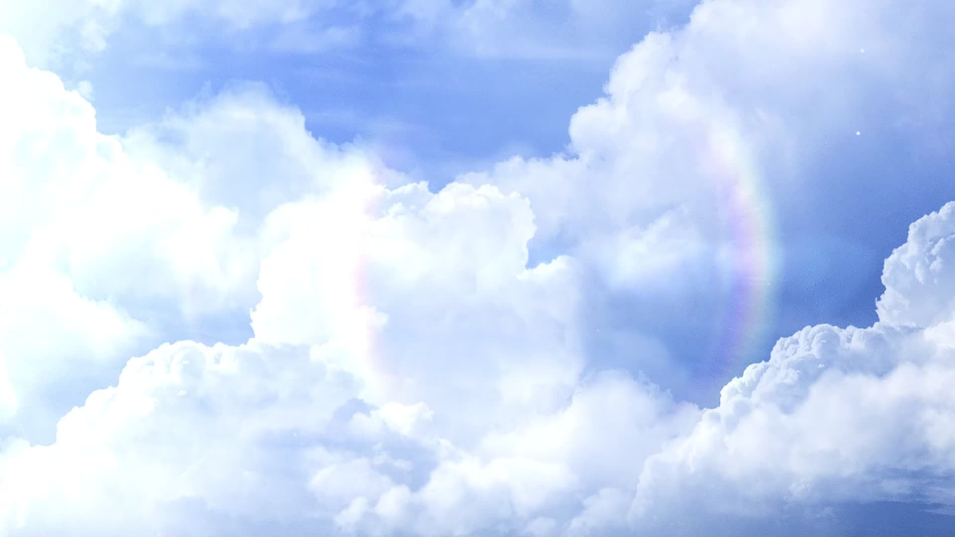 我的12366日记|第四季 行业辅导③斑斓“税”月 坚守梦想