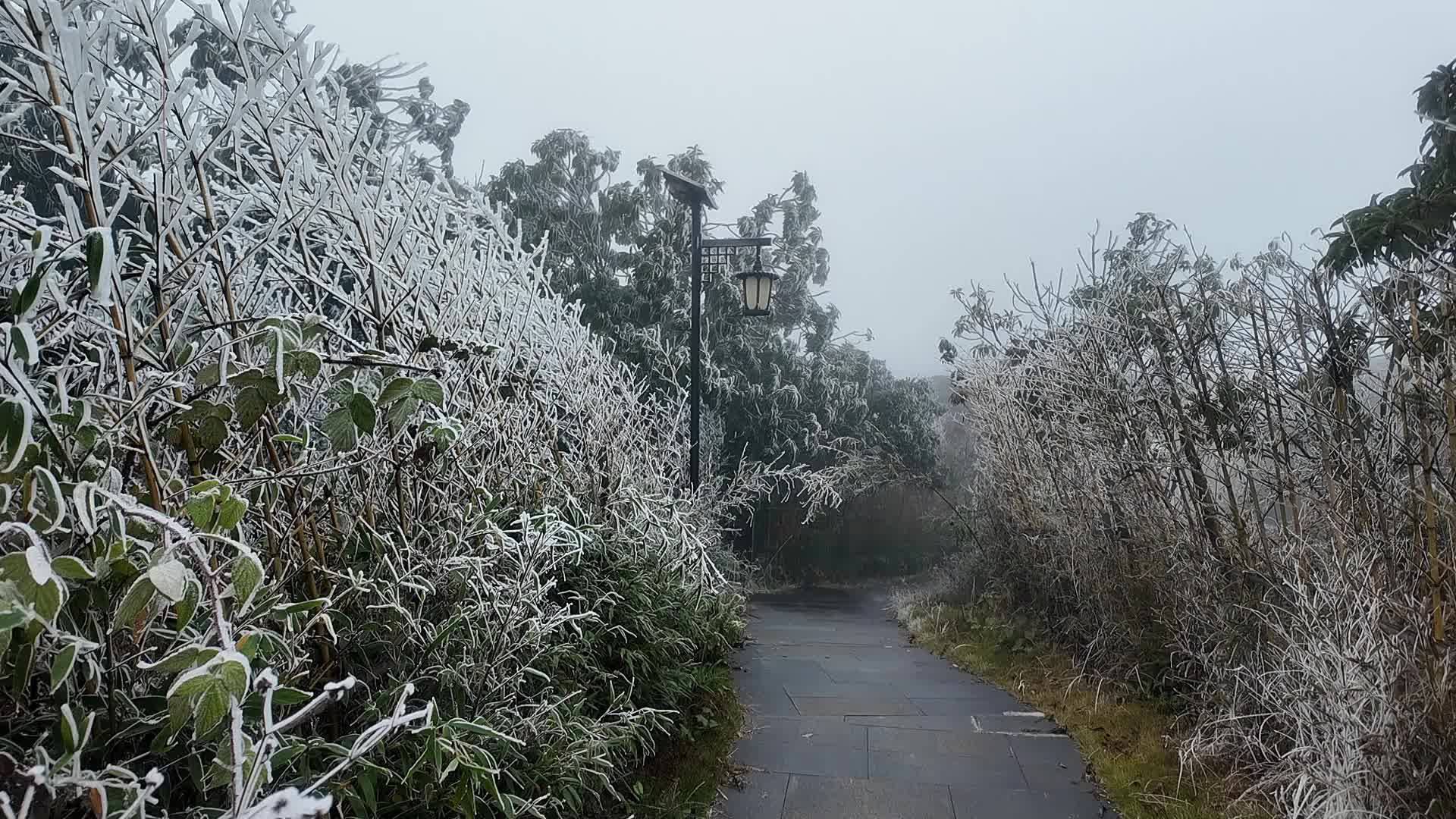 视频丨资兴：回龙山迎来今冬首场雾凇景观 
