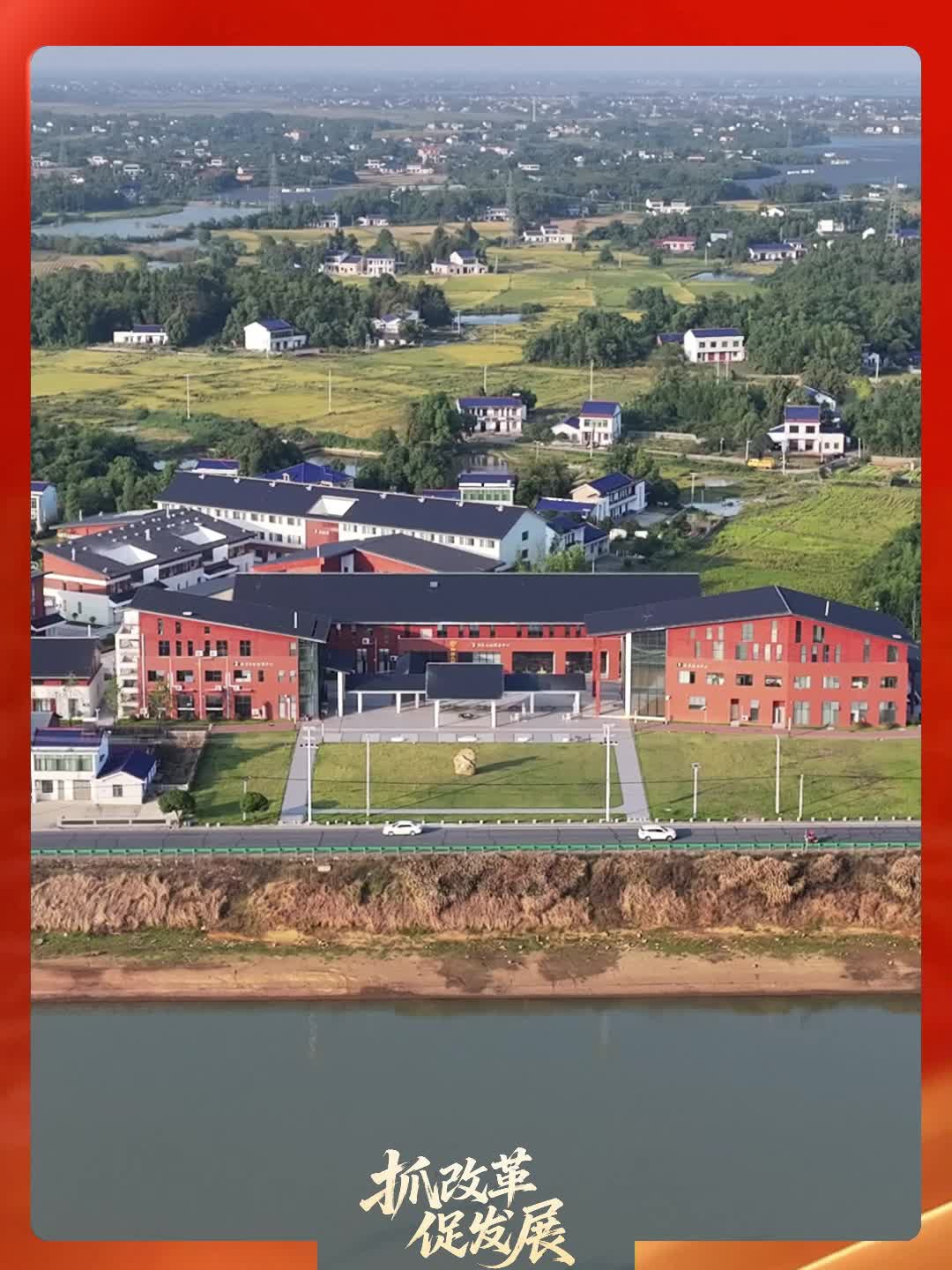 益阳市“抓改革 促发展”党员干部专题访谈丨赫山区泉交河镇党委书记陈国荣：土地流转“上云端”  数字赋能“地生金”