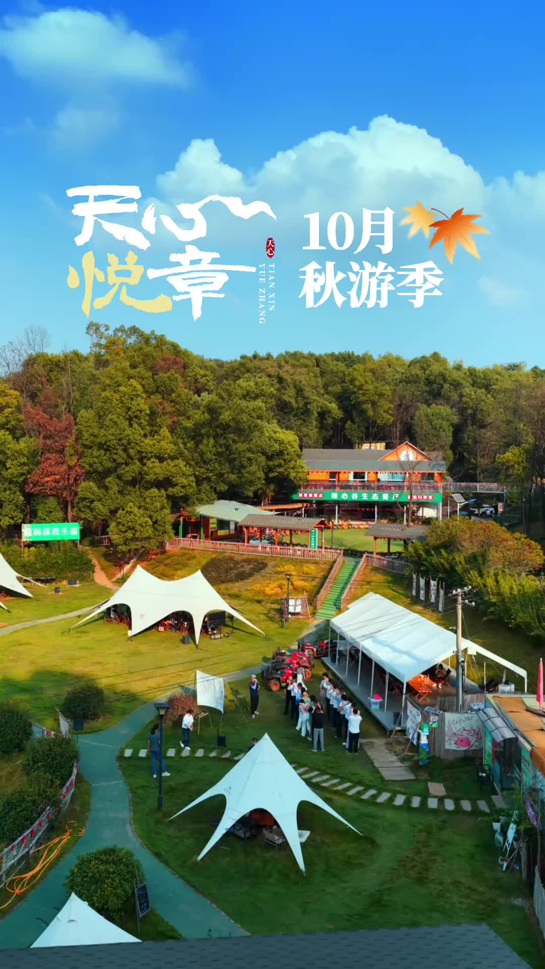 天心悦章⑩丨十月：秋游季
