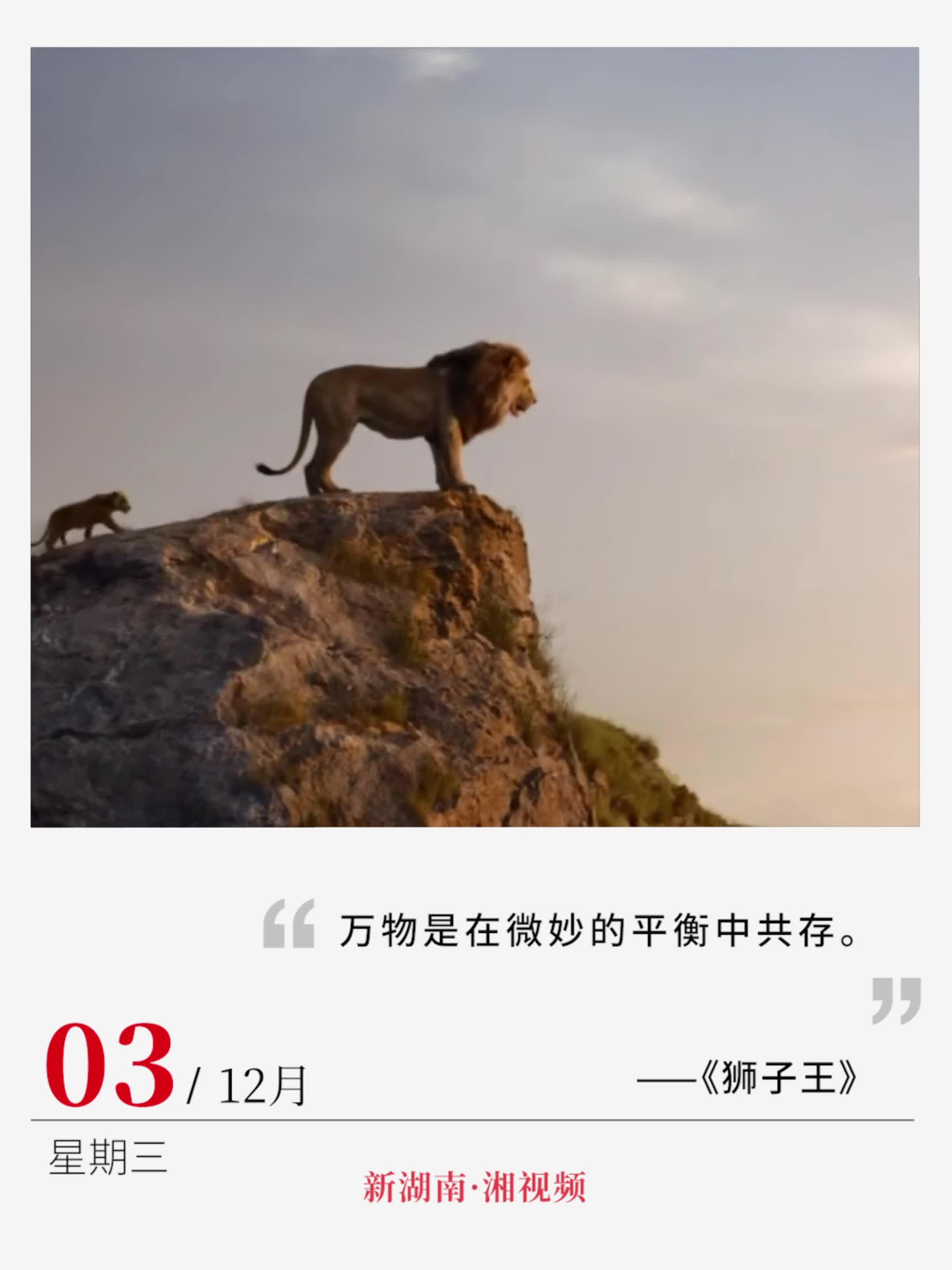 ​万物是在微妙的平衡中共存|电影日历