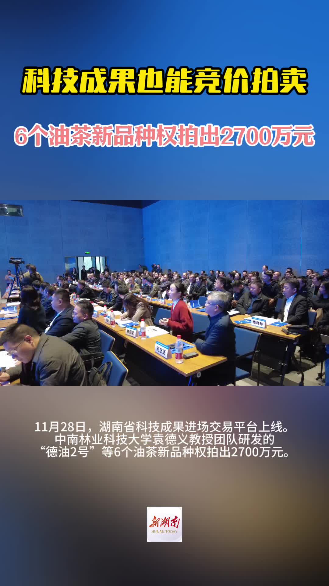 科技成果也能竞价拍卖 6个油茶新品种权拍出2700万元 