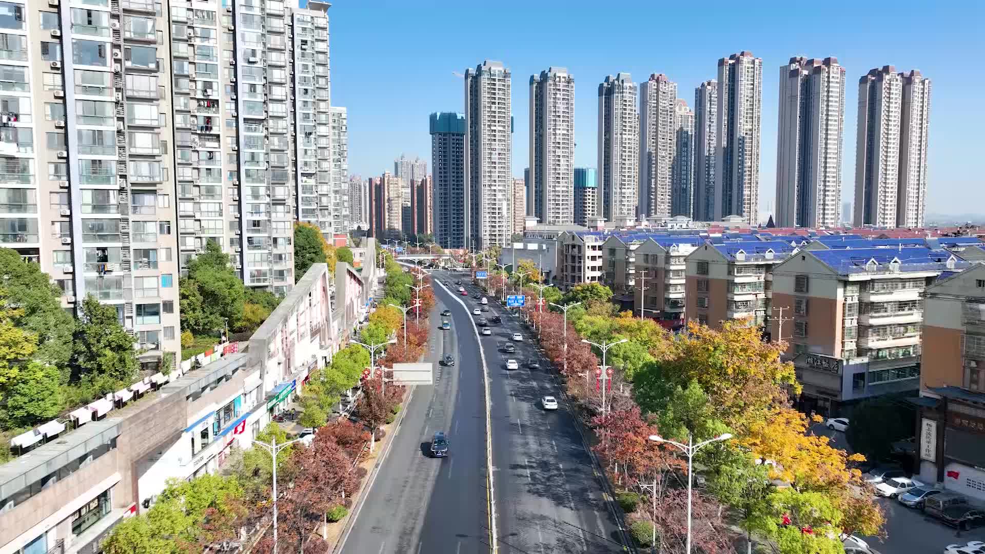 长沙这条“五彩大道”美如画