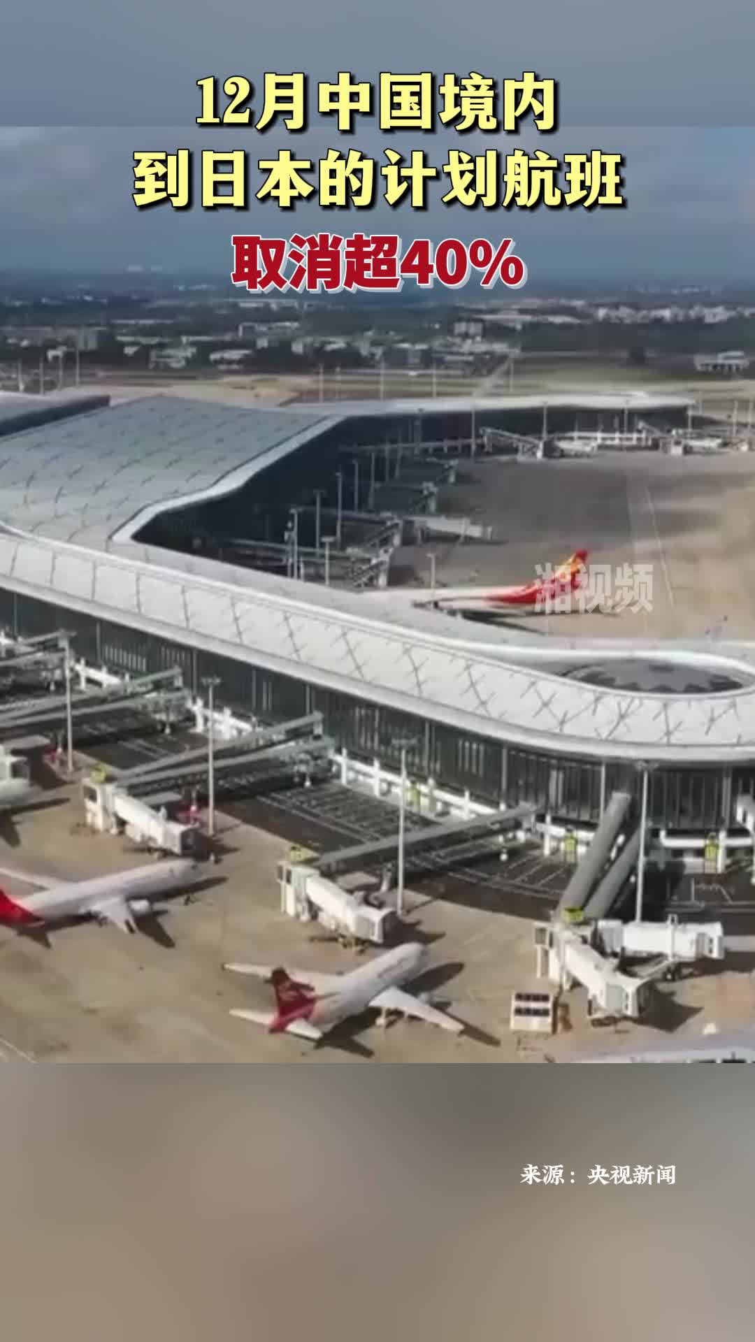 12月中国境内到日本的计划航班取消超40%