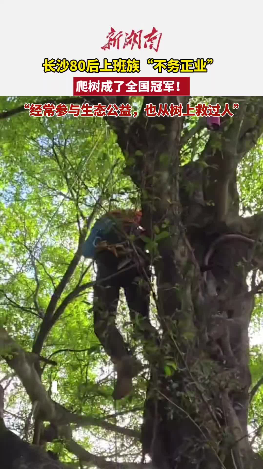 “白天敲键盘，周末爬大树”  长沙一男子爬树成了全国冠军