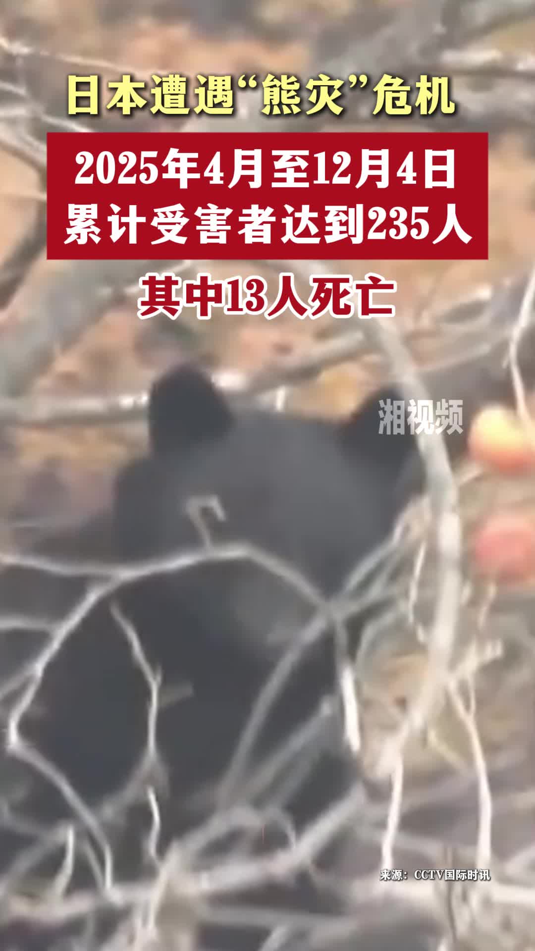 日本遭遇“熊灾”危机