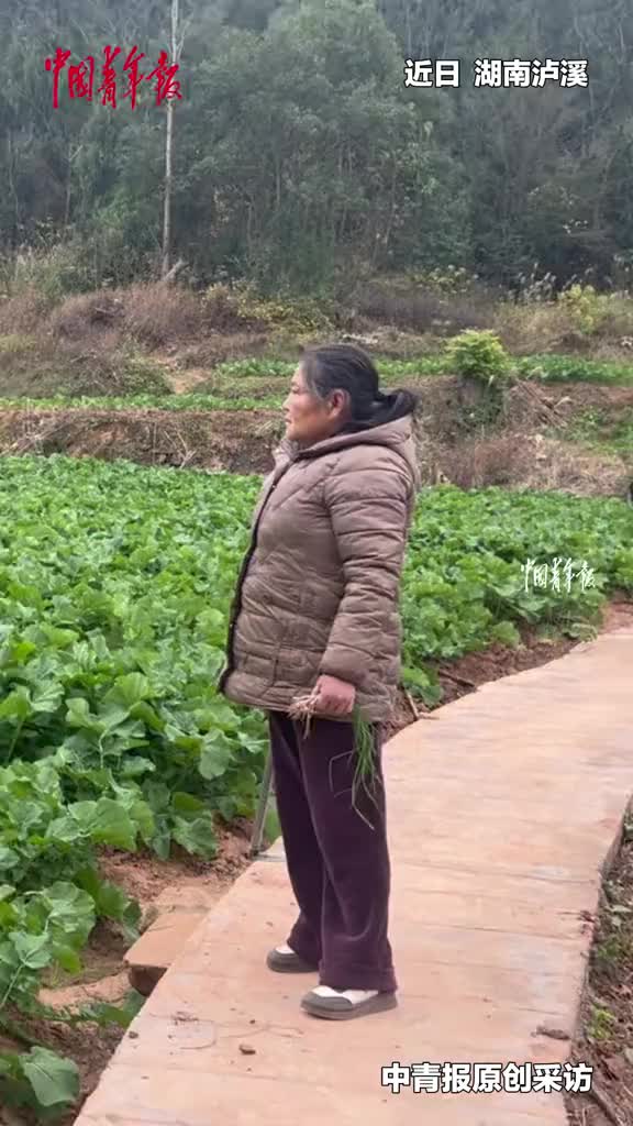 别人家的油菜VS自家的油菜，这对比过于鲜明！