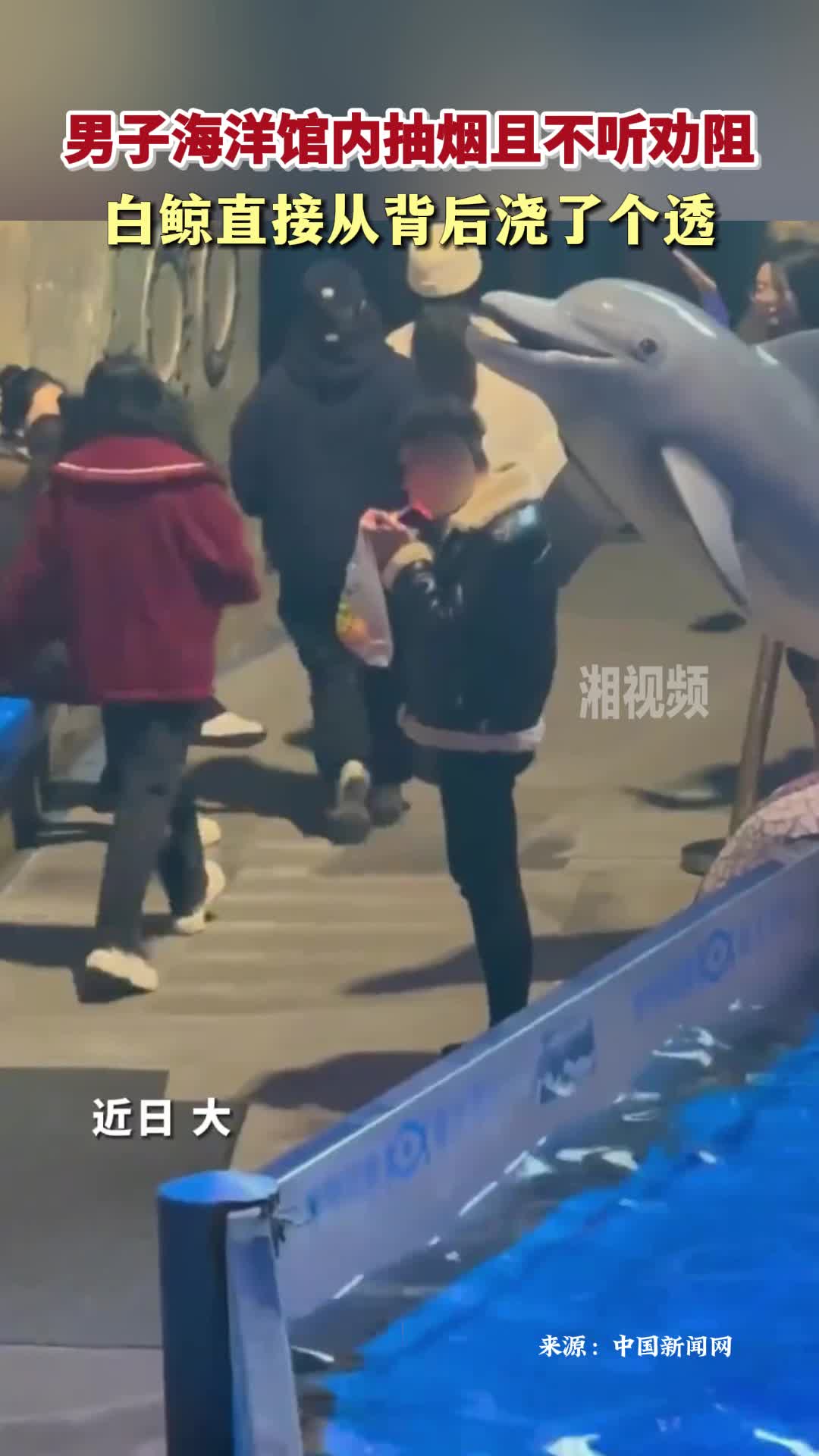 男子海洋馆内抽烟不听劝阻 白鲸从背后浇了个透