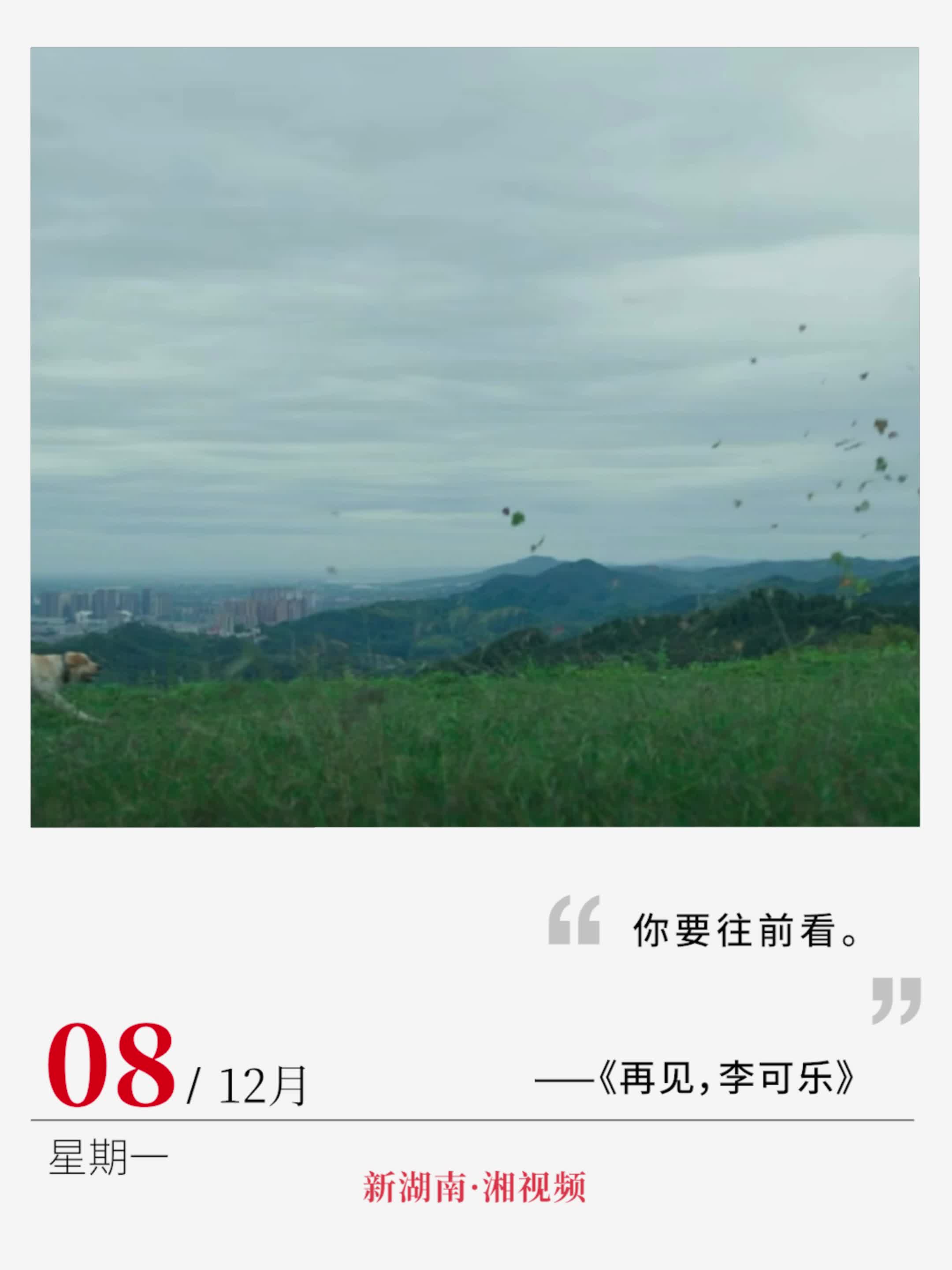 “你要往前看” | 电影日历