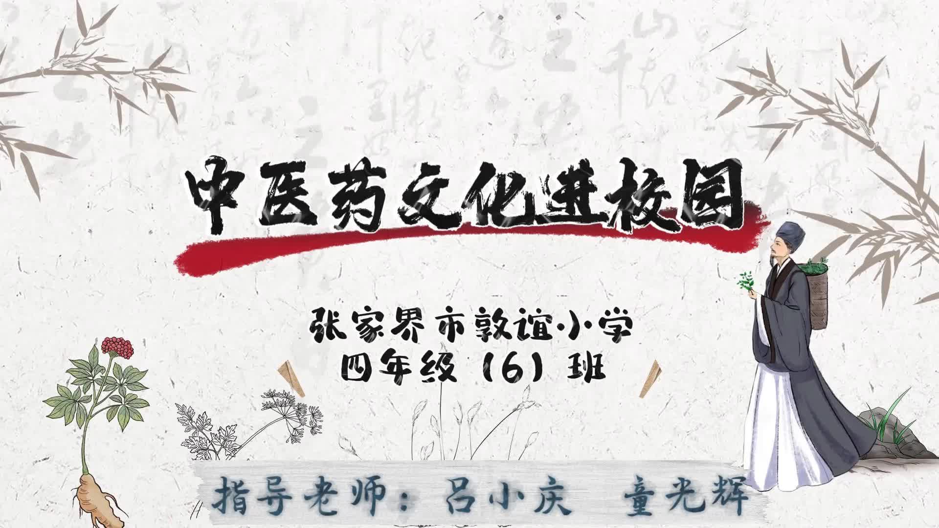 张家界敦谊小学：课堂内外，打卡丰富多彩的“中医药乐园”