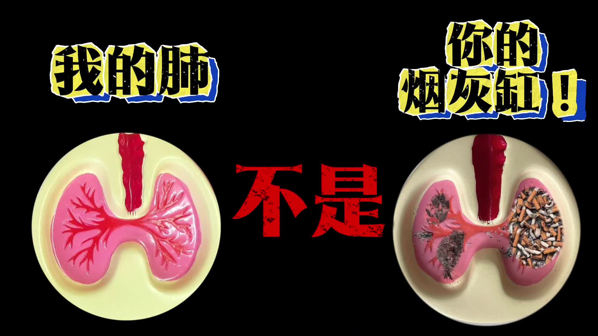 科普视频|肺的呐喊：我，不是你的烟灰缸！