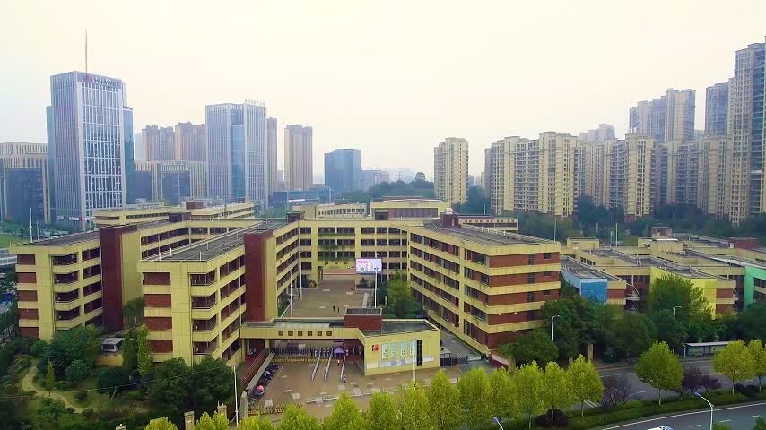 长沙高新区明德麓谷学校：从课程出发，让中医药文化育人体系更多元