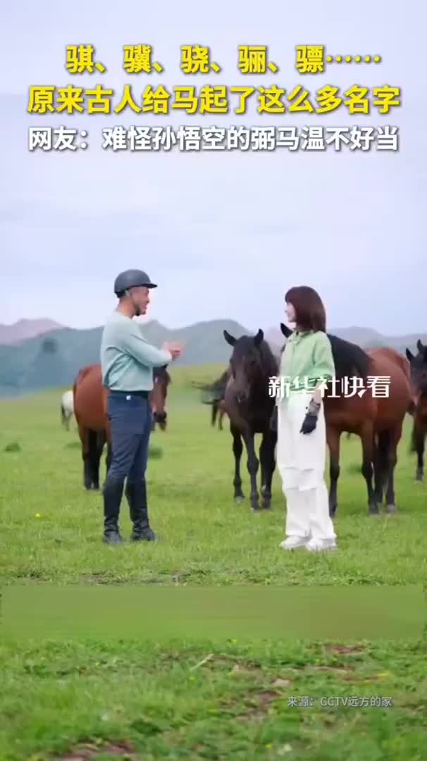 骐、骥、骁、骊、骠……原来古人给马起了这么多名字