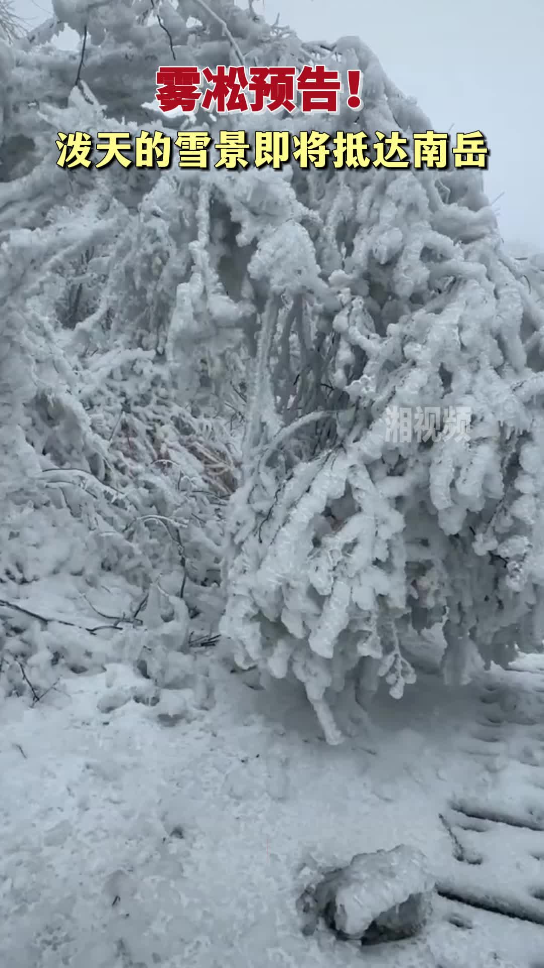 雾凇预告！泼天的雪景即将抵达南岳
