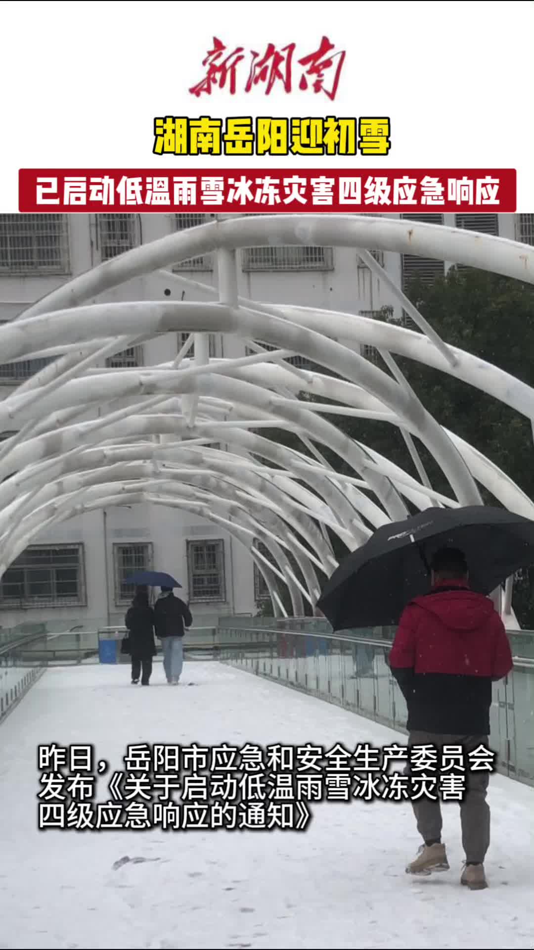 视频｜湖南岳阳迎初雪：1月20日，岳阳城内和周边已覆上一层积雪