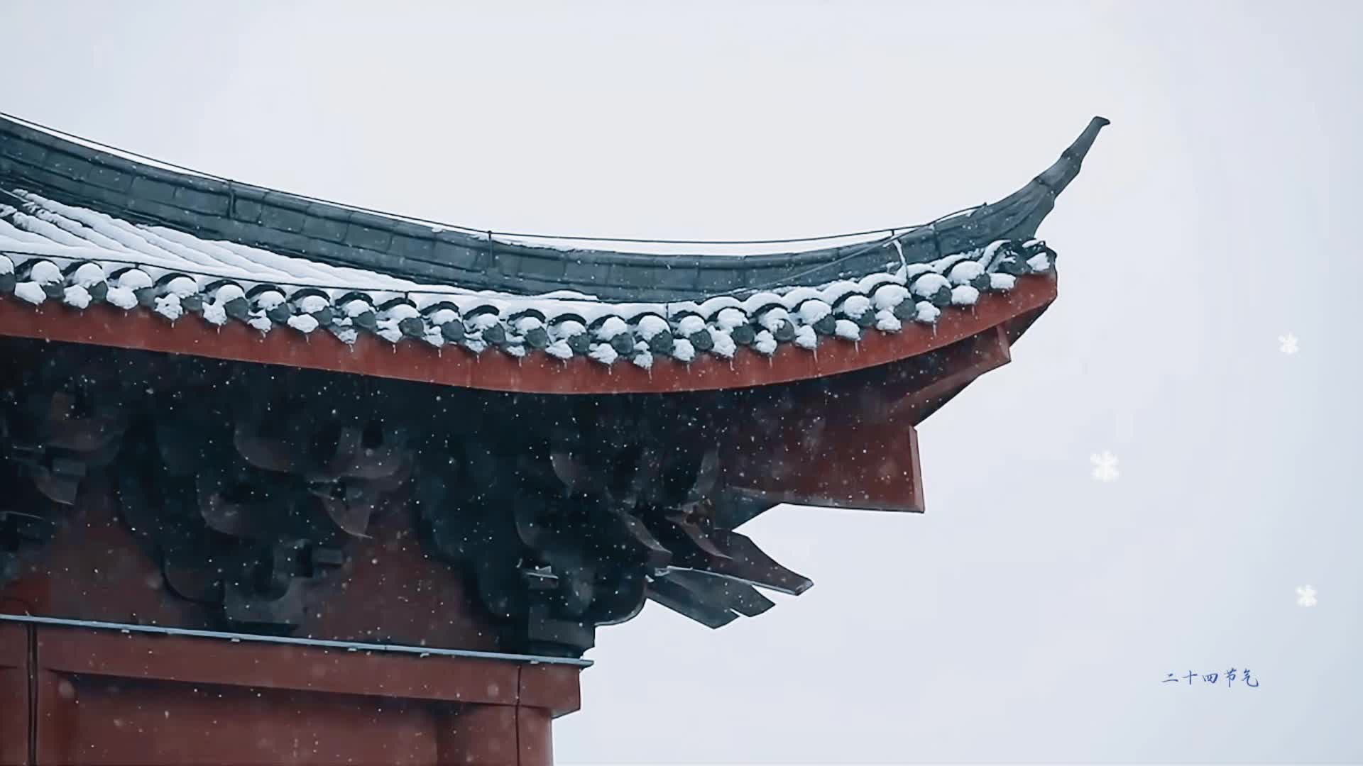 视频大寒逢初雪，冬日屈原！