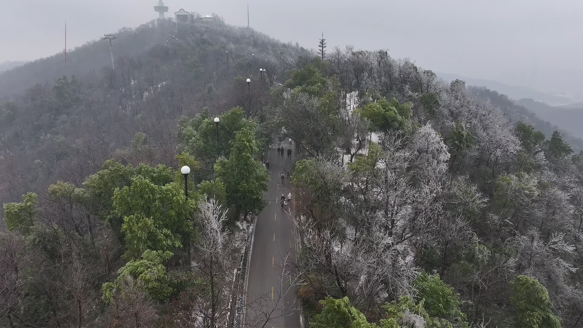 岳麓山迎初雪 游客踏雪寻景
