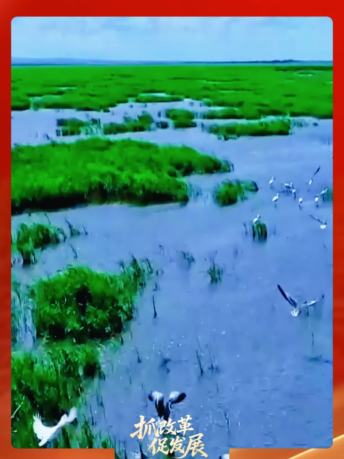 益阳市“抓改革 促发展”党员干部专题访谈丨大通湖区自然资源局副局长李丹：改革焕新  生态富民