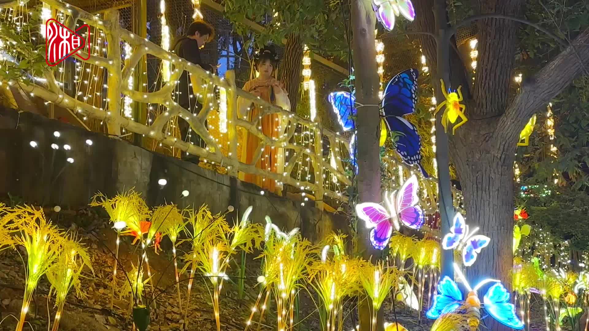 南郊千灯 璀璨绽放