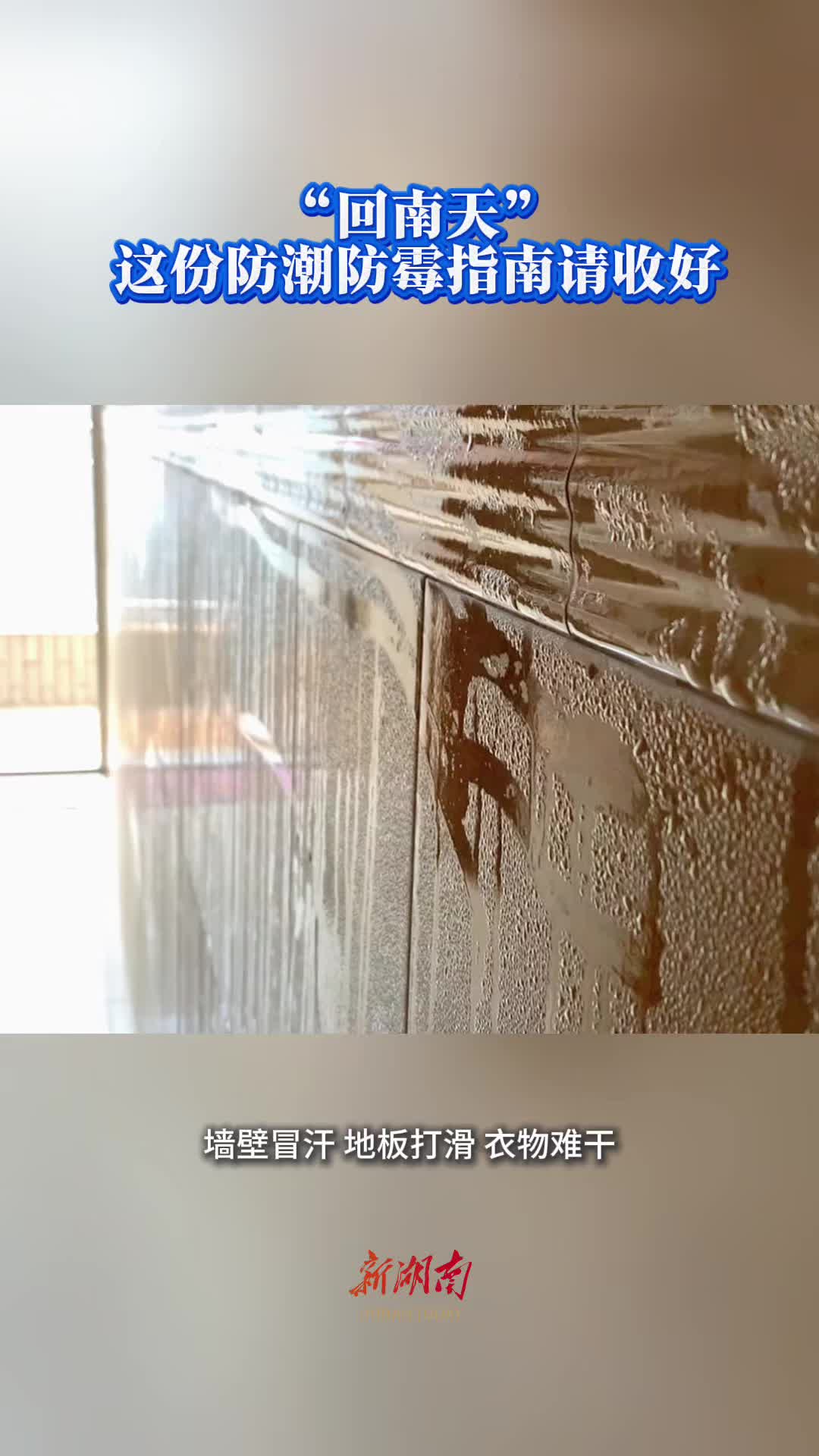 今日科普 | “回南天”，这份防潮防霉指南请收好