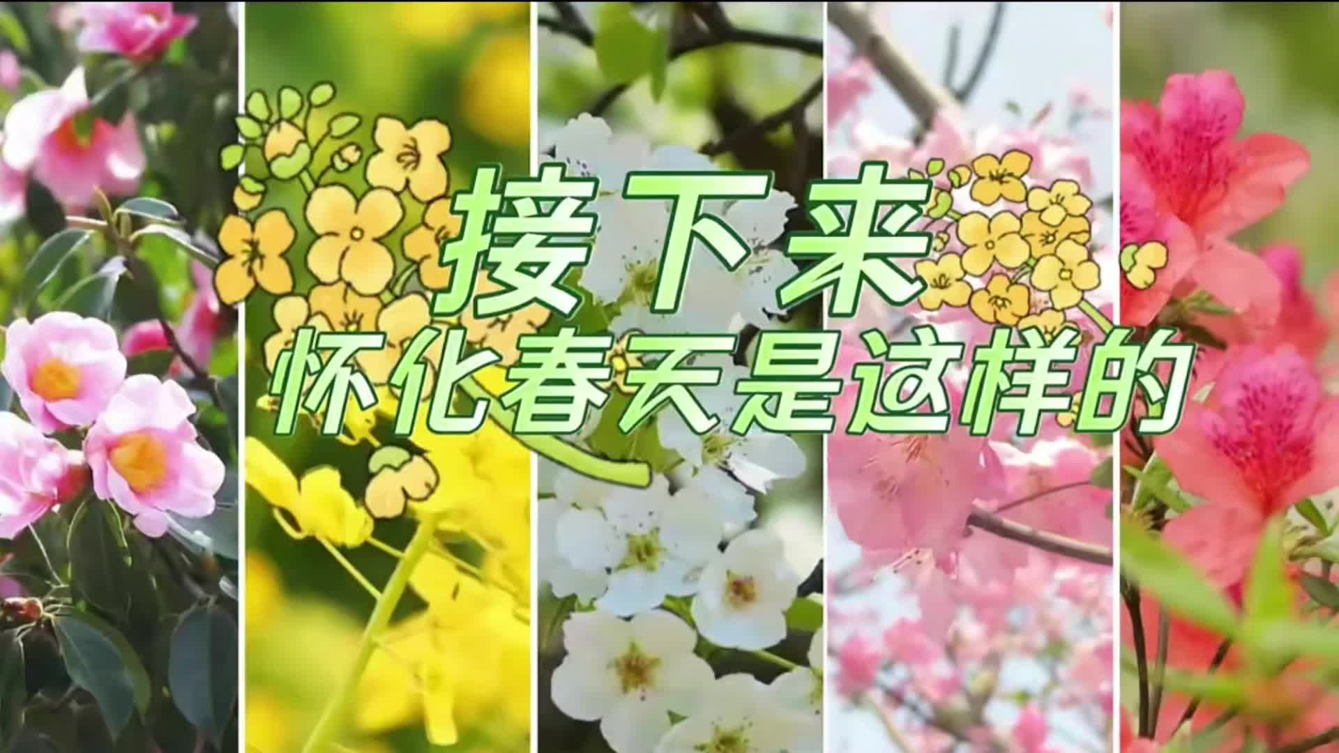 接下来，怀化的春天是这样的