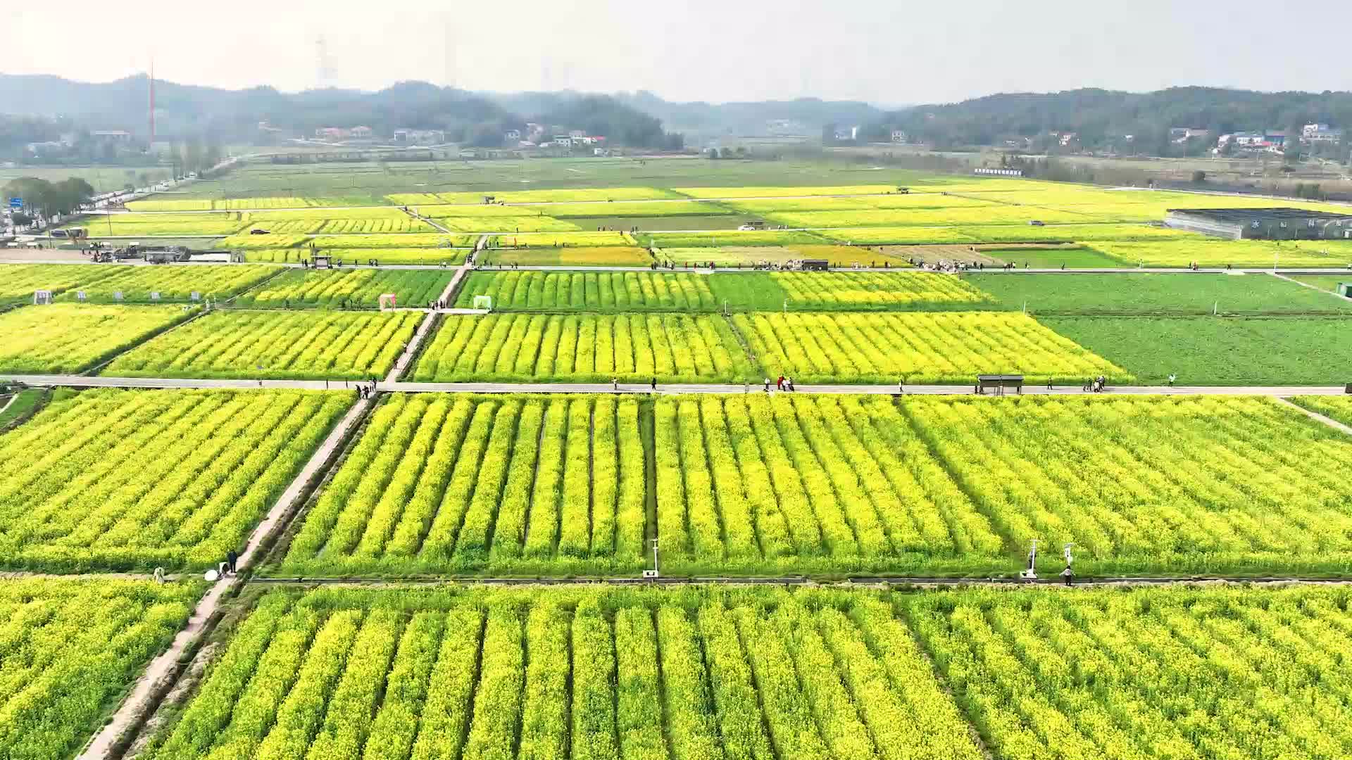 春日田园入画来