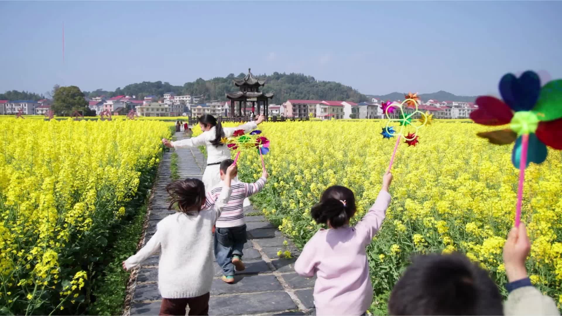 茶陵春日：油菜花海与童年笑颜