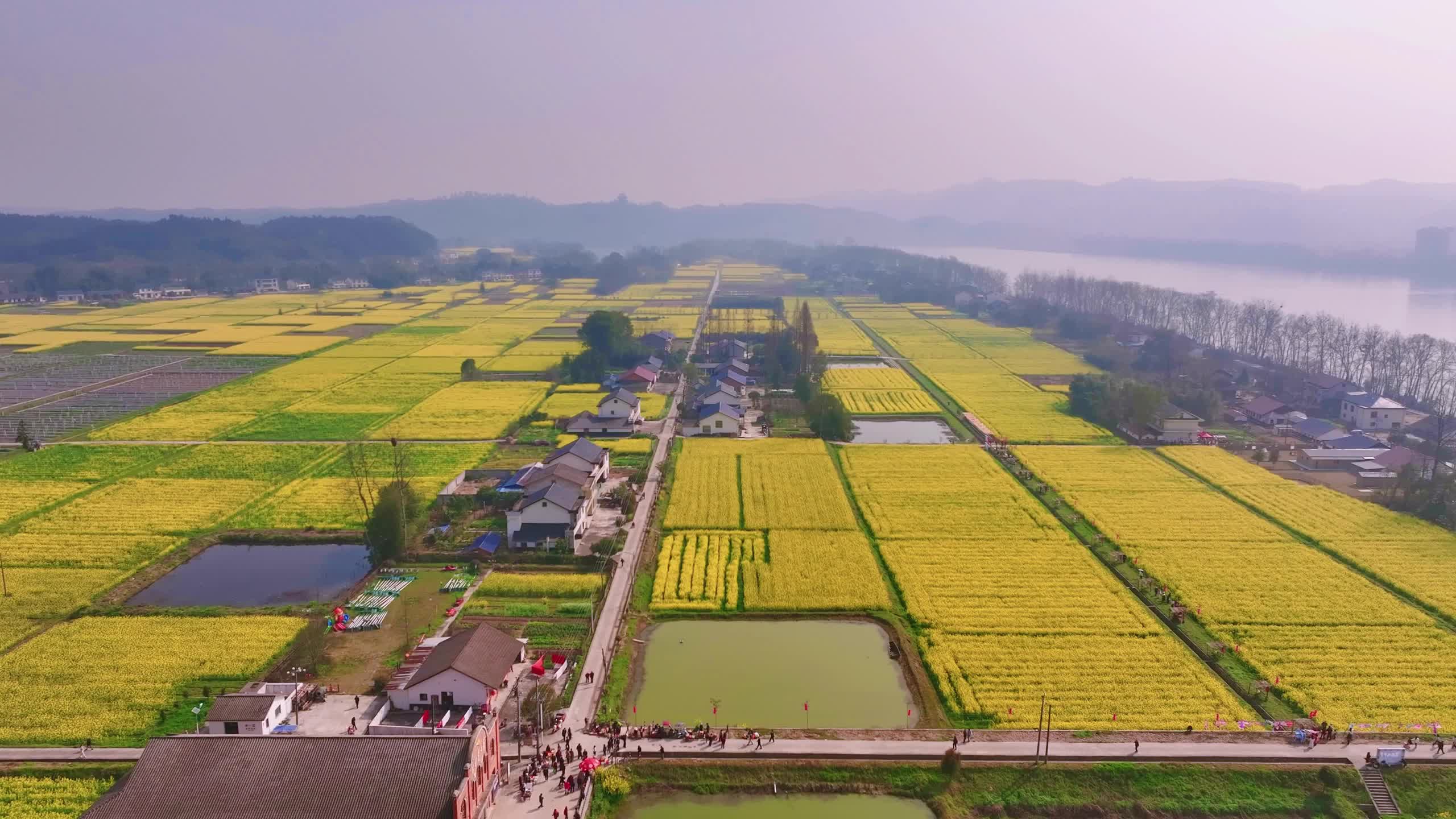 去白麟洲，赴一场踏青大会