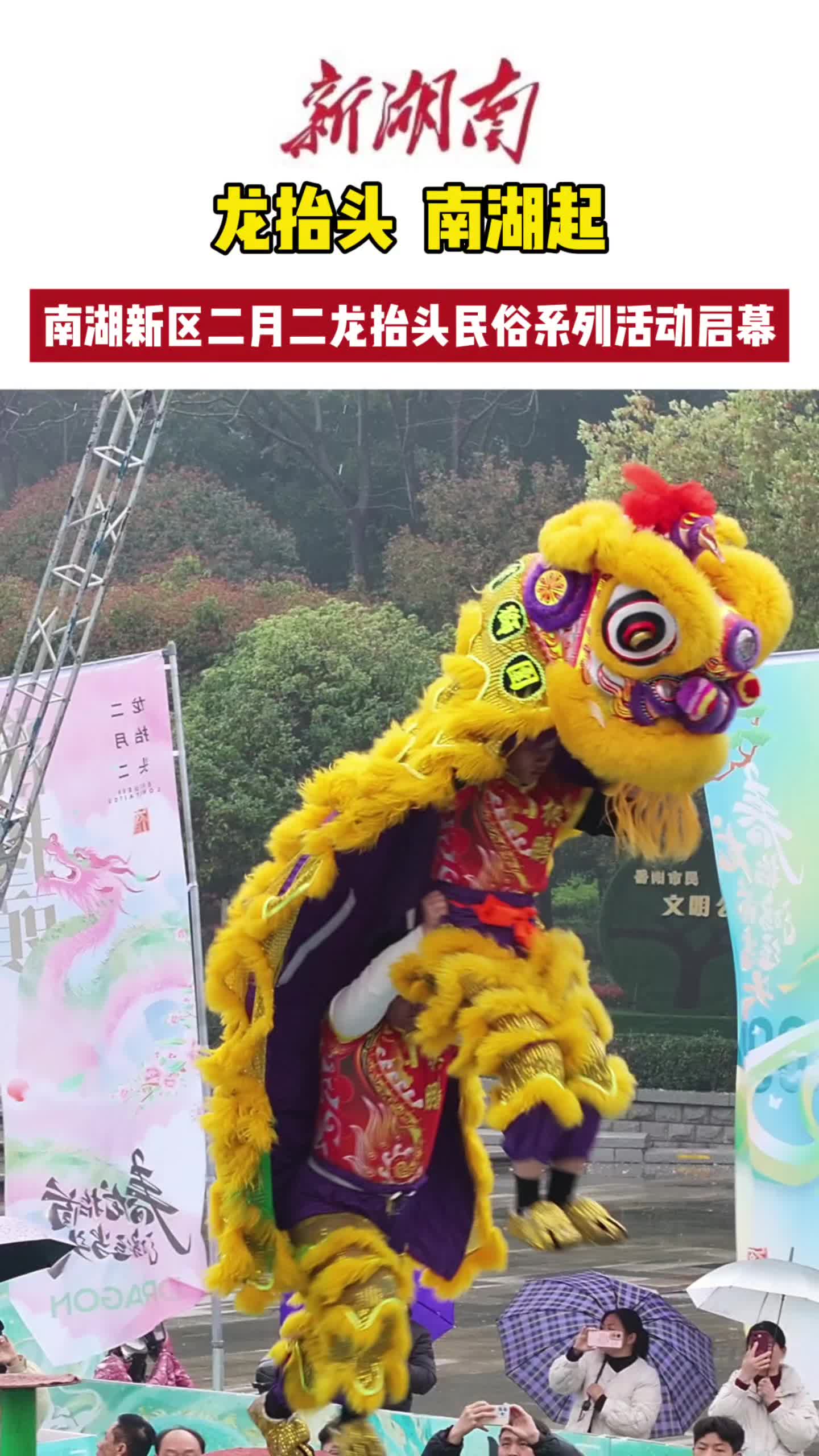 龙抬头，南湖起