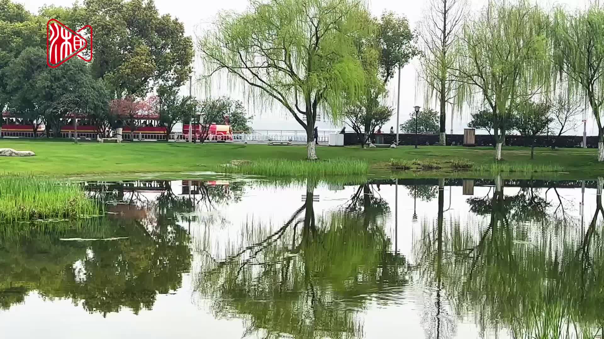 长沙橘子洲：浪漫花事绘春景