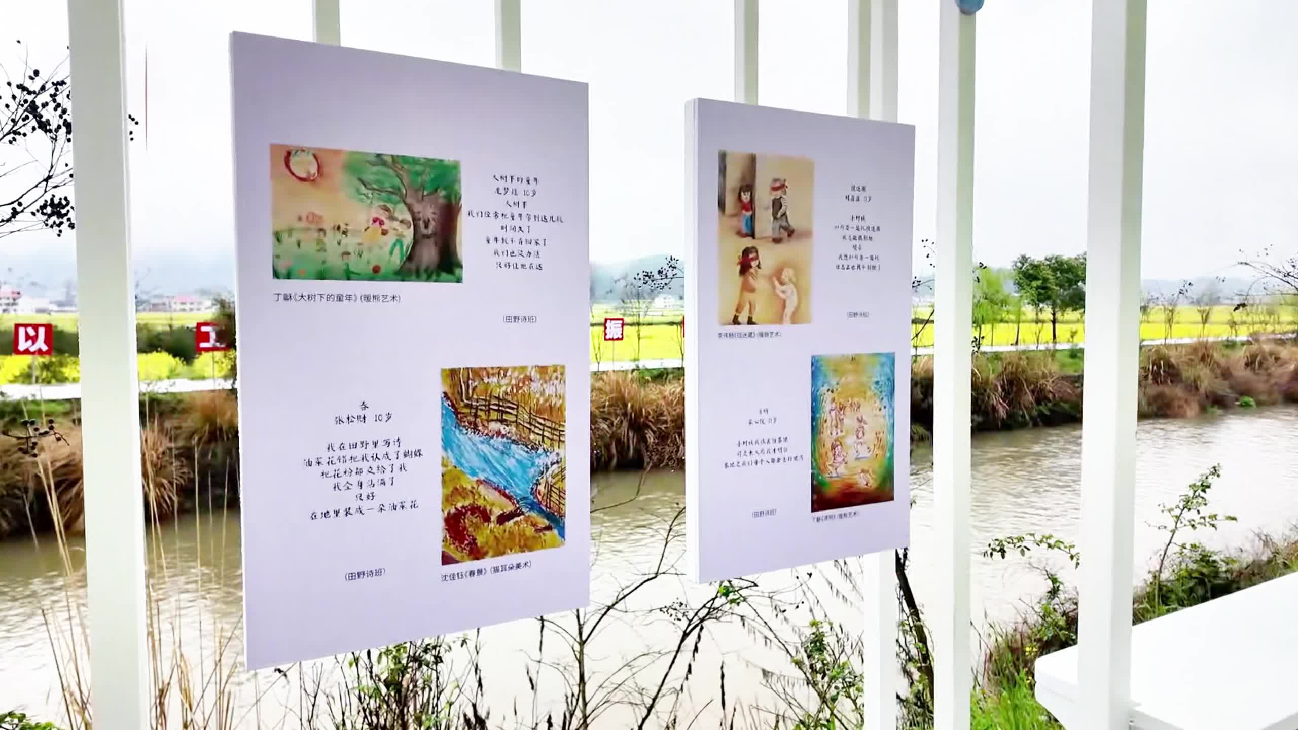 在会同万亩油菜花海，读到孩子笔下最天真的诗