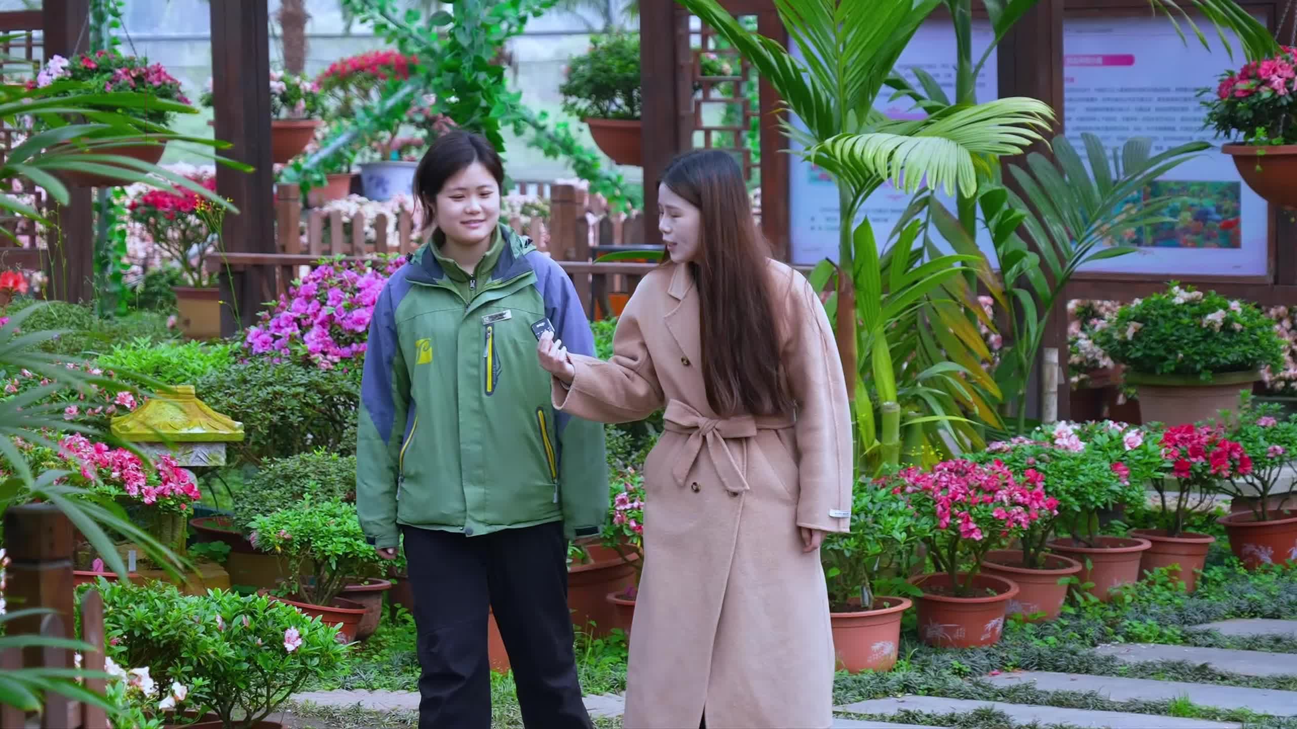 价值连城！在别处见不到的杜鹃长什么样？