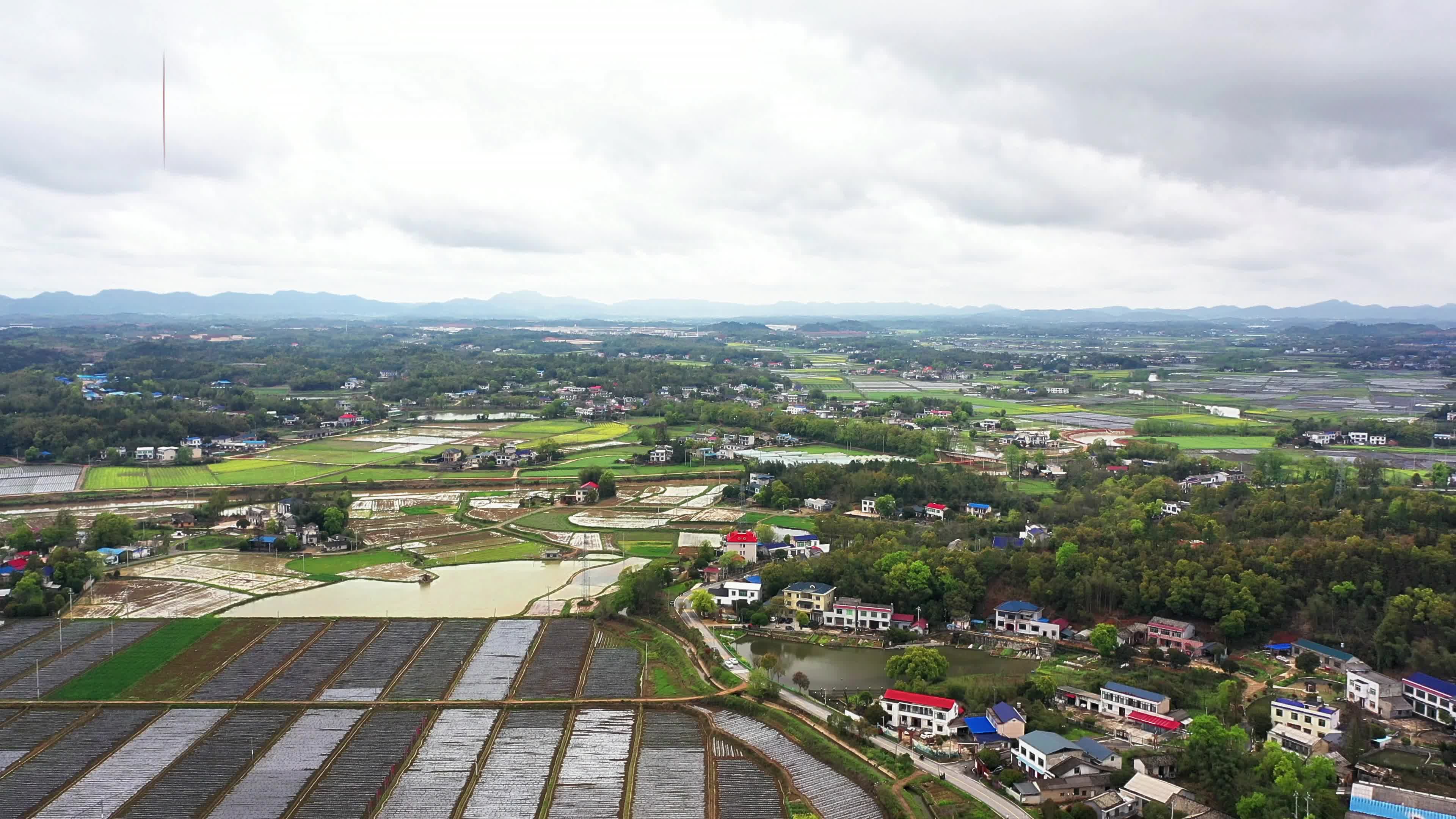 视频｜他们跨越千里，只为共商家乡发展大计