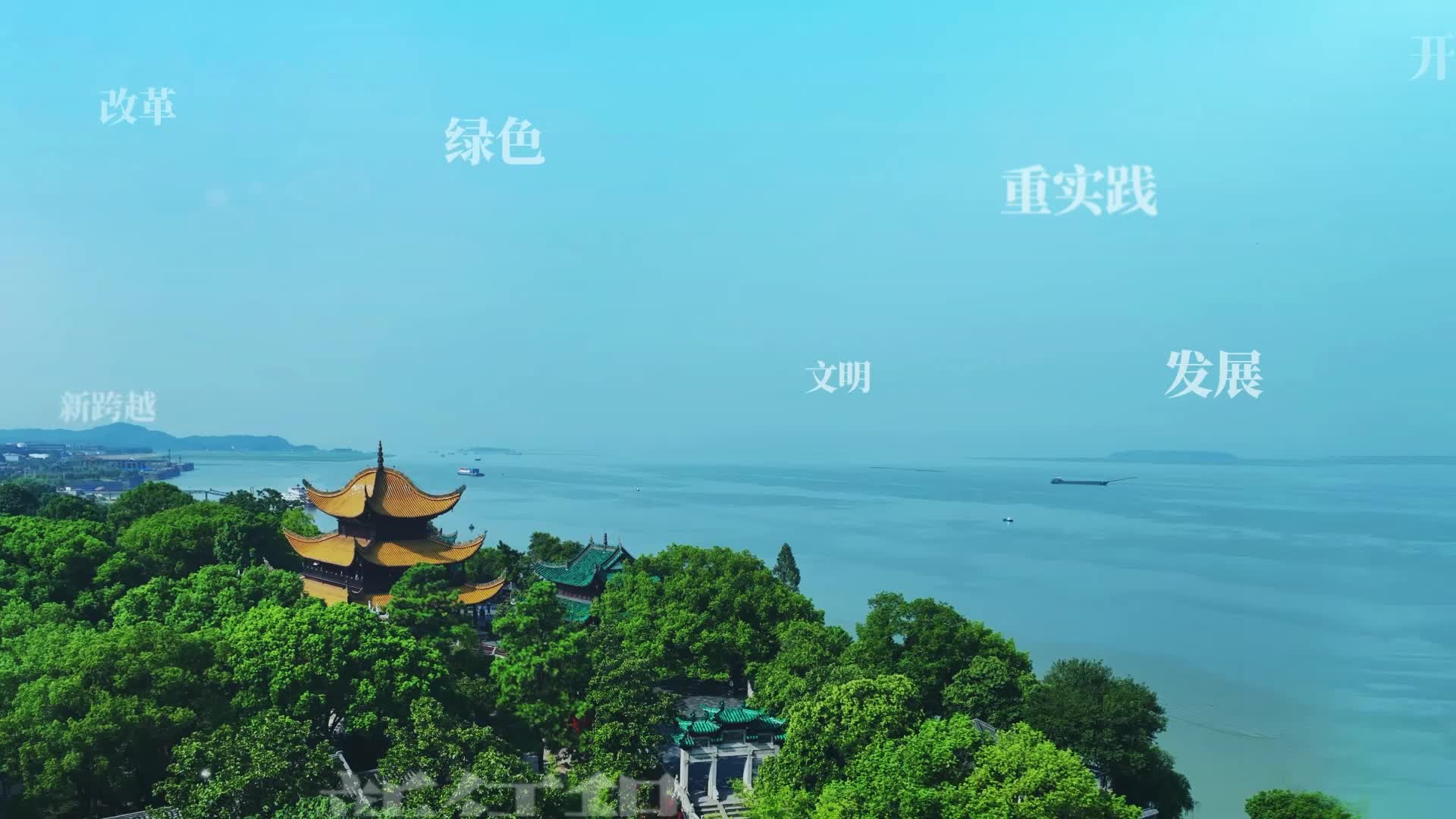 【“与理有岳·新思想青年说”】（第三辑）第九期：“乡货”变“香货”