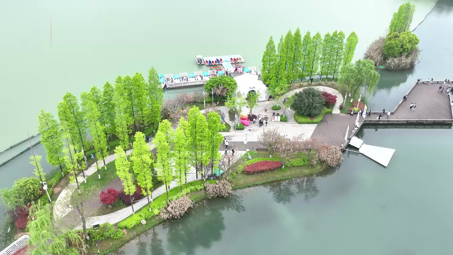 春染后湖!一泓碧水映春光