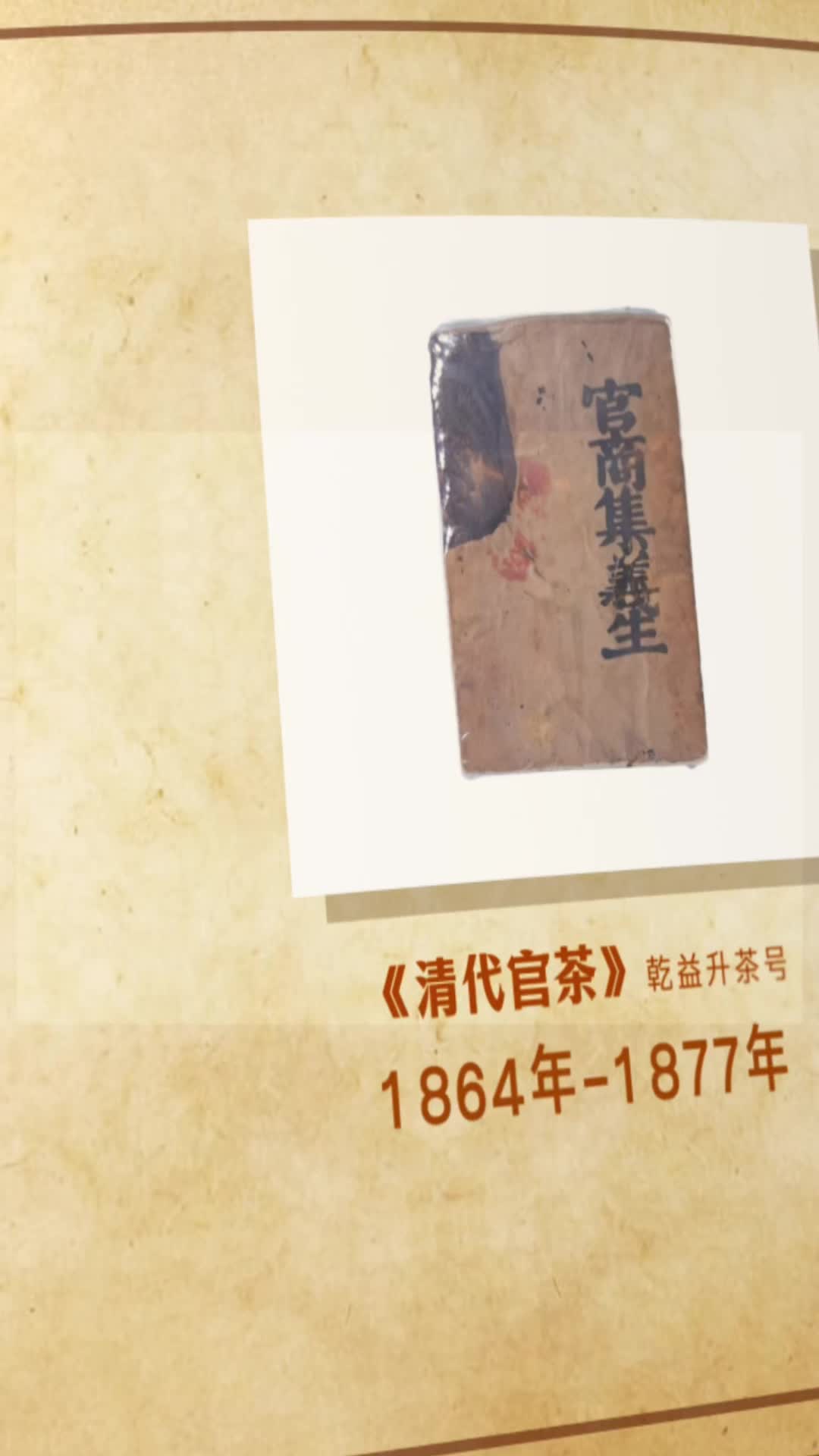 寻茶记｜安化松针茶入列“中国名茶”并写进教科书，凭的是对原材料、制作技艺、品控的精益求精！