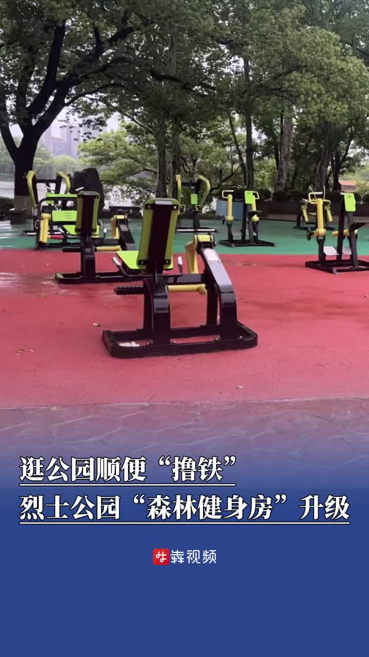 烈士公园“森林健身房”升级
