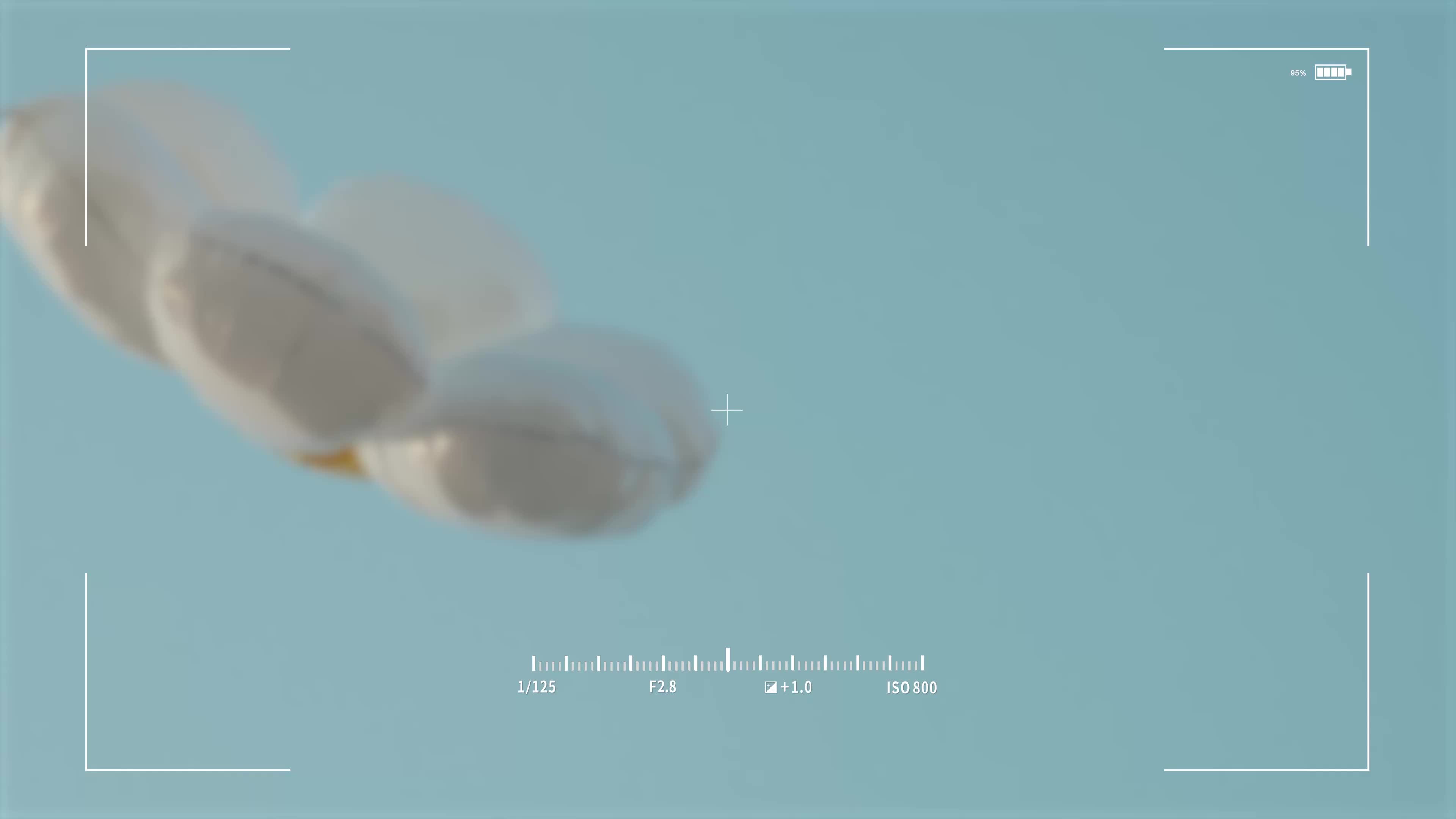 正片来了！《曝光迷局》反转不断！网络“黑嘴”恶意伤企，真相被谁掩埋？