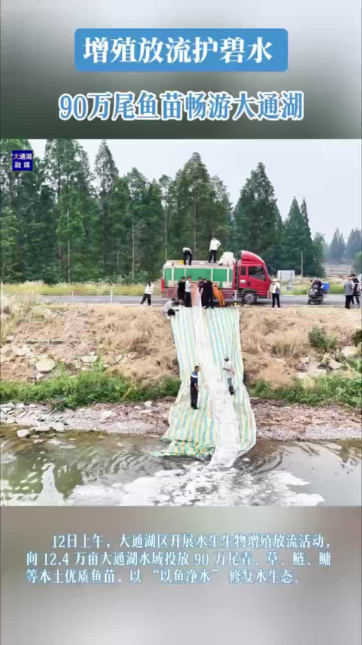 大通湖区增殖放流90万尾鱼苗