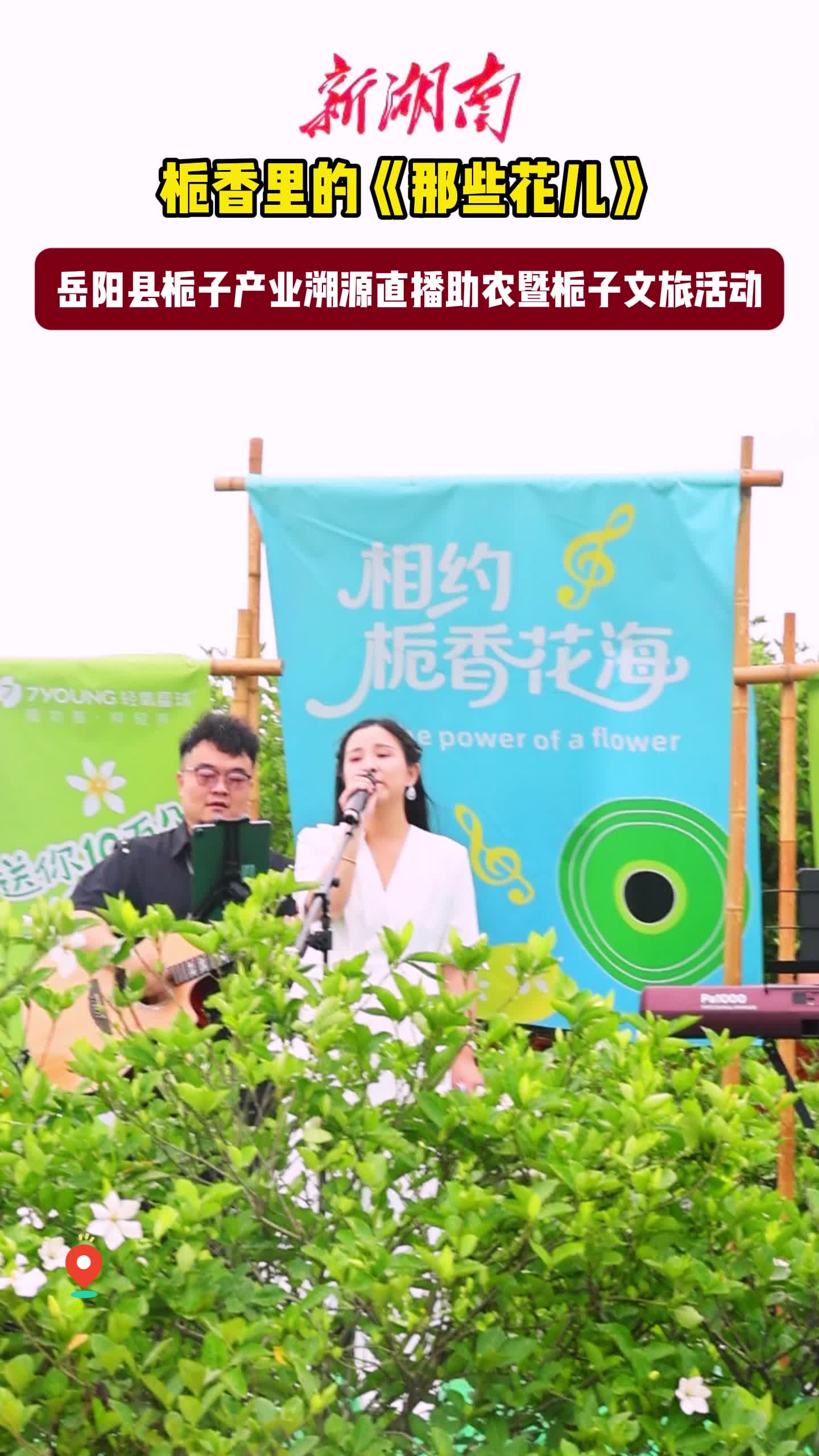栀香里的《那些花儿》
