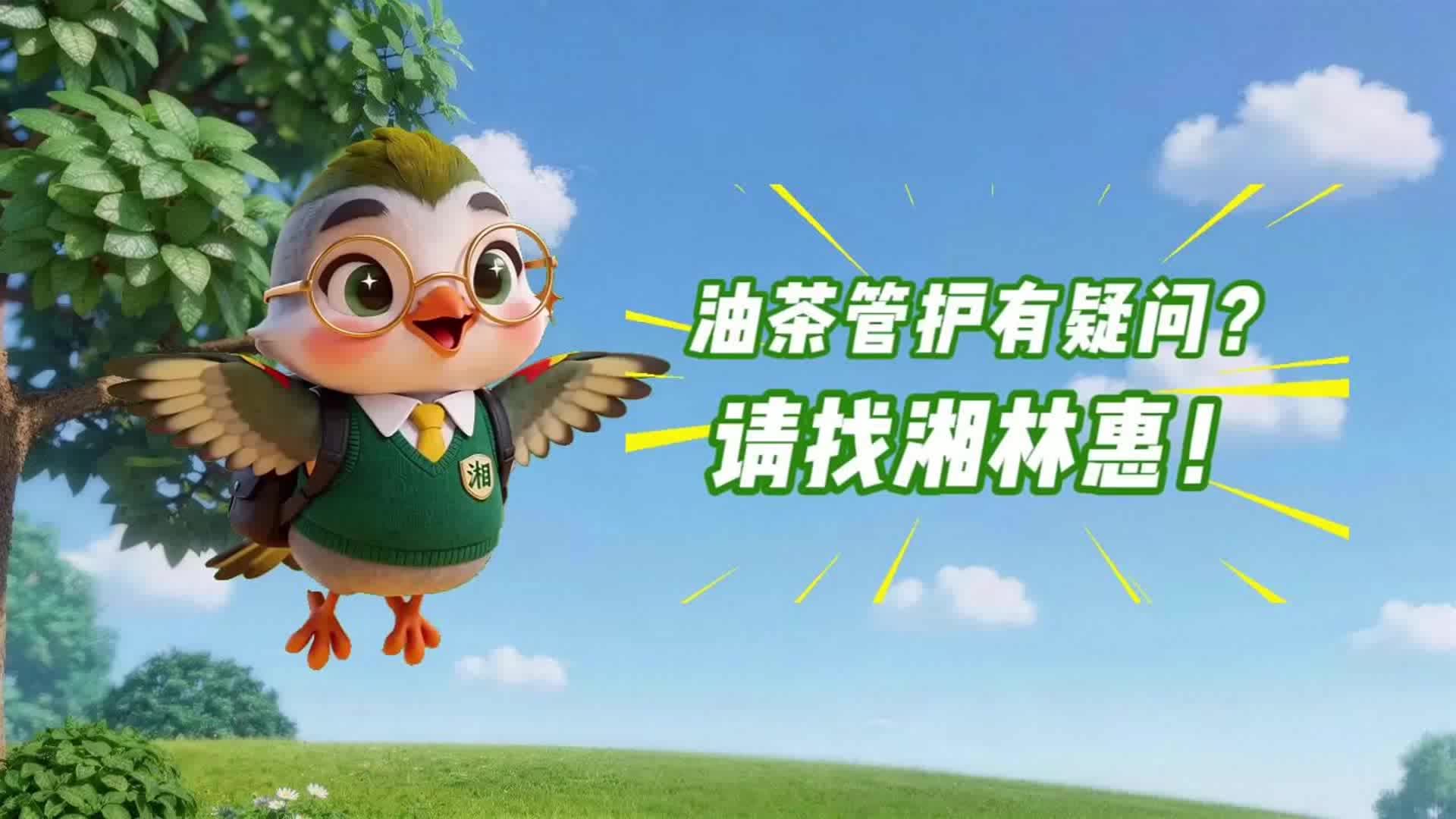 “湘林惠”小程序上线