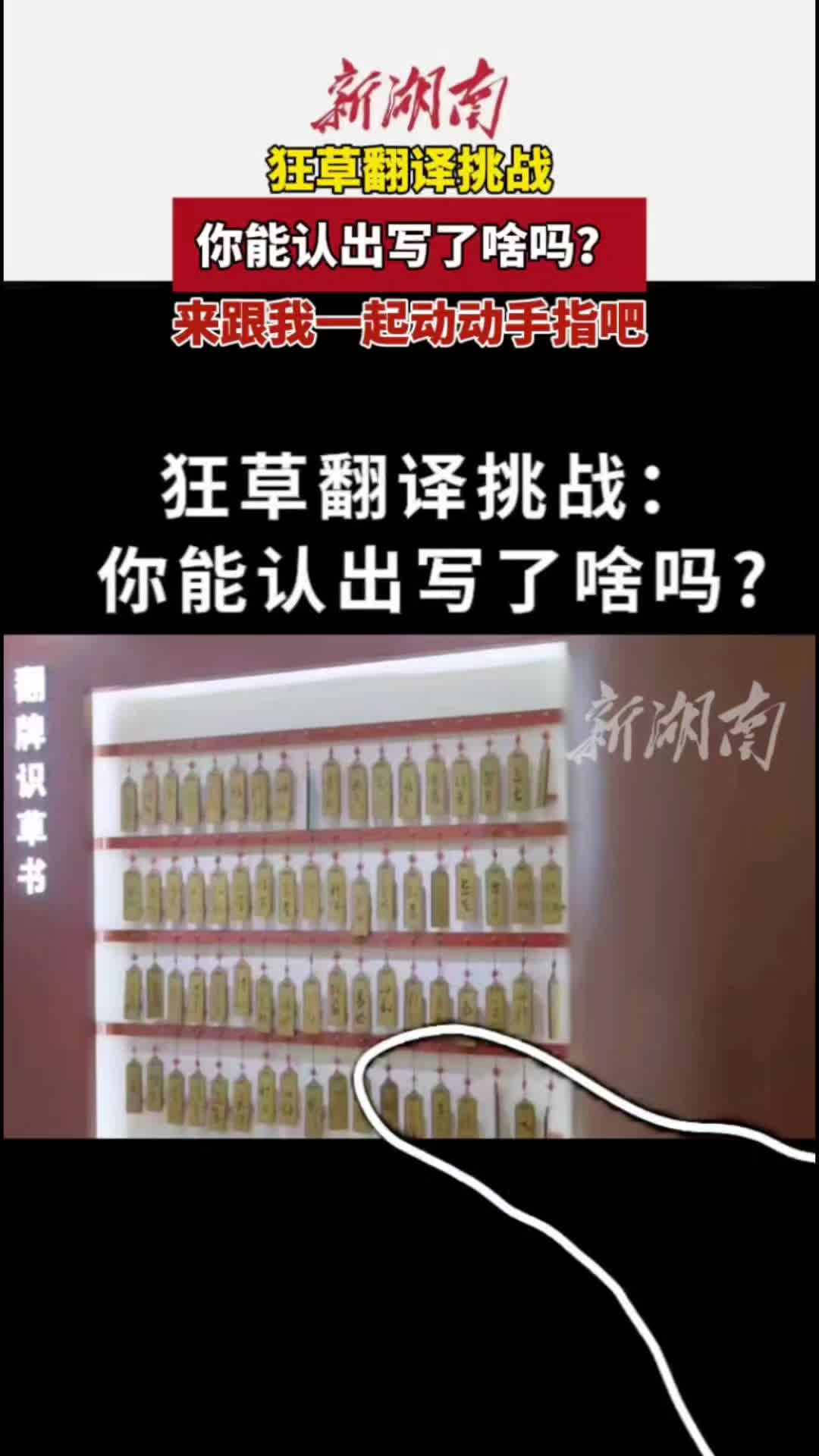 狂草翻译挑战：你能认出写了啥吗|文脉千秋·古城寻根