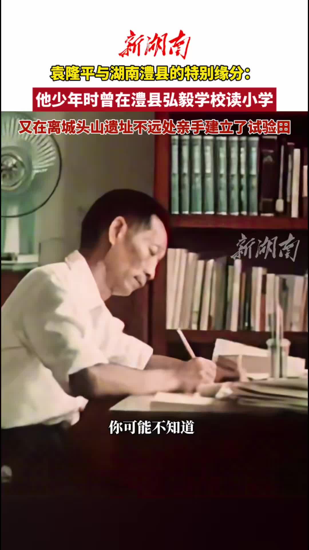 袁隆平曾在城头山遗址附近建试验田|文脉千秋·古城寻根
